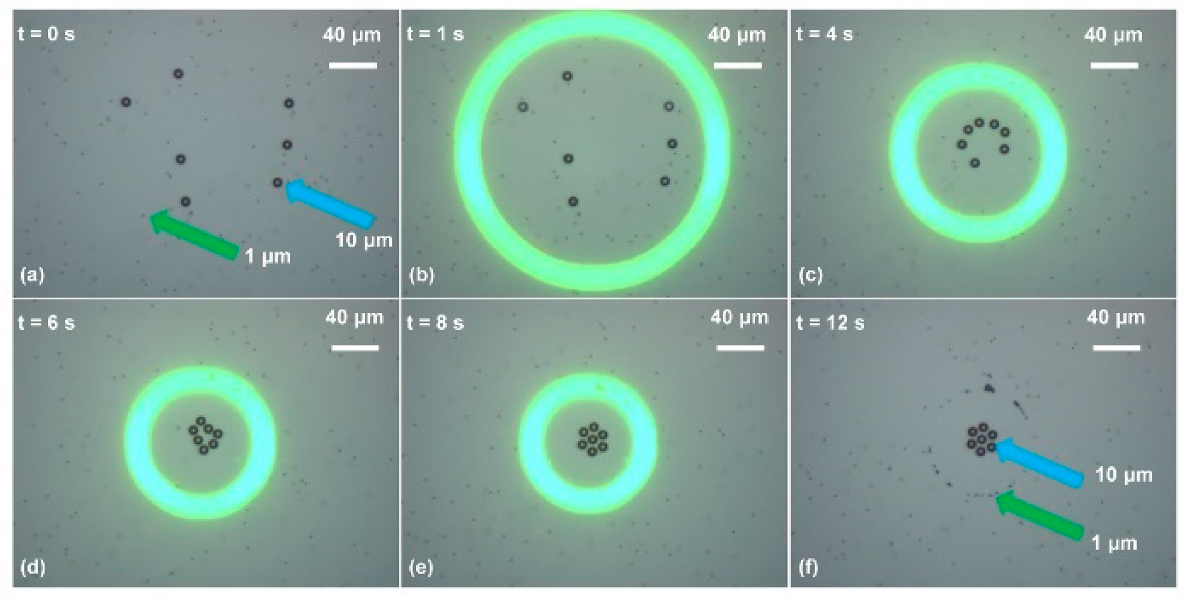 Micromachines 11 00078 g005