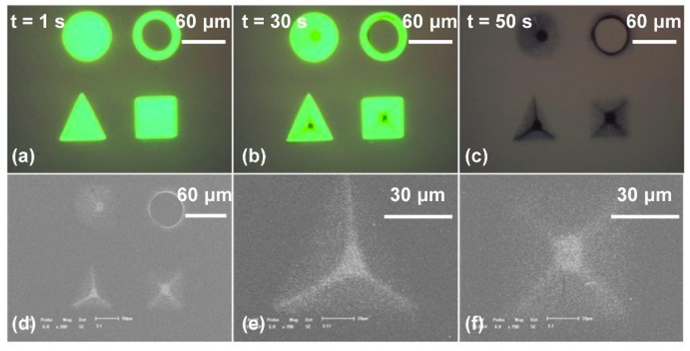 Micromachines 11 00078 g009