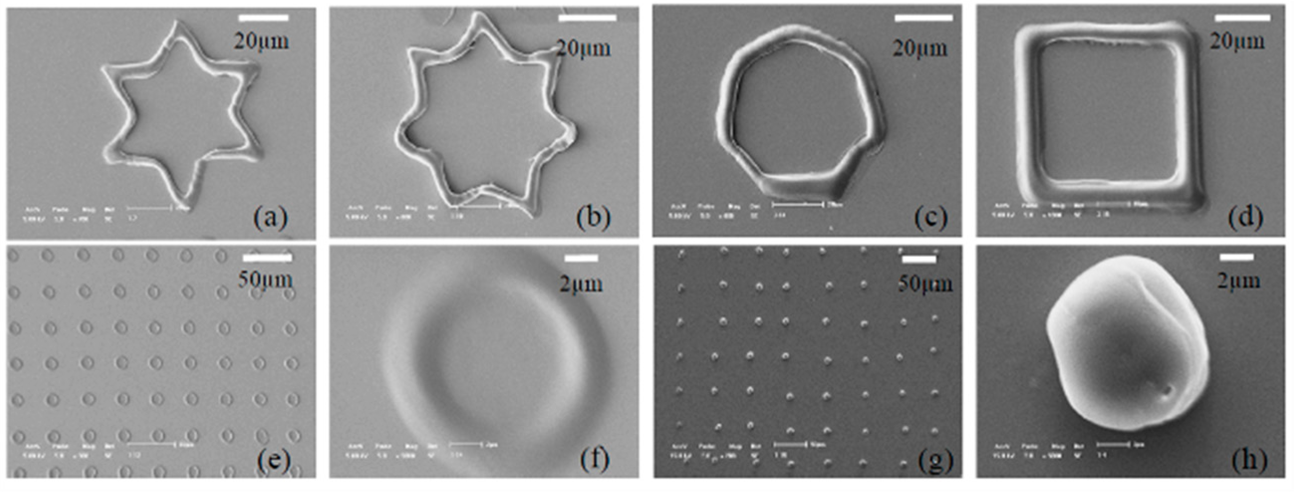 Micromachines 11 00078 g014