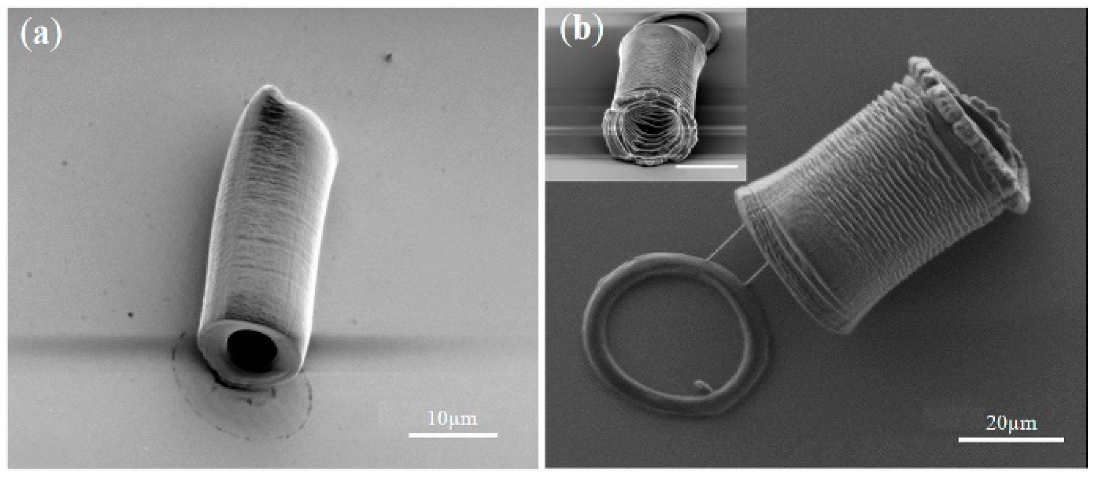 Micromachines 11 00078 g015