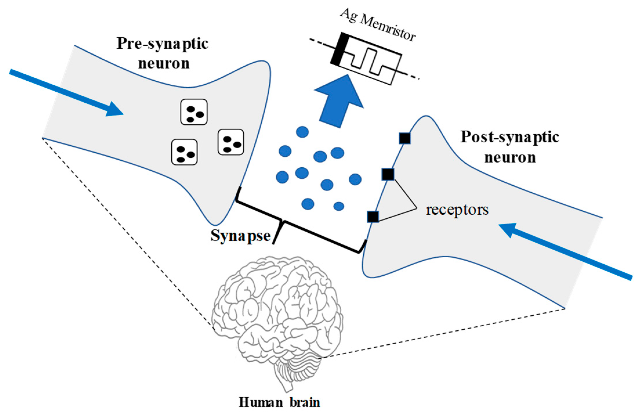 Micromachines 11 00089 g001
