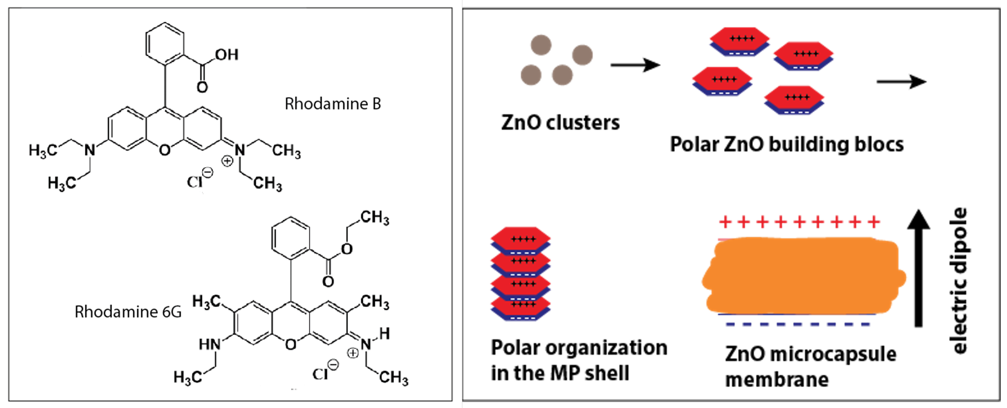 Micromachines 11 00100 g007