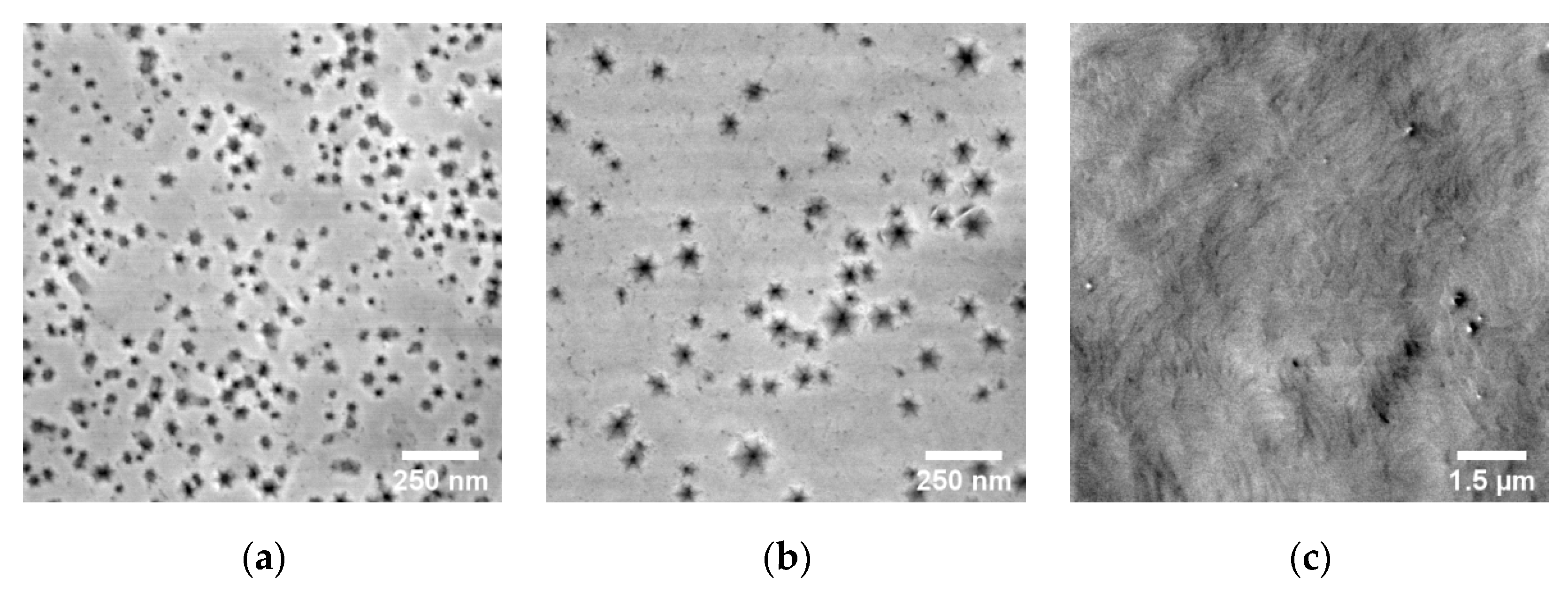 Micromachines 11 00101 g003