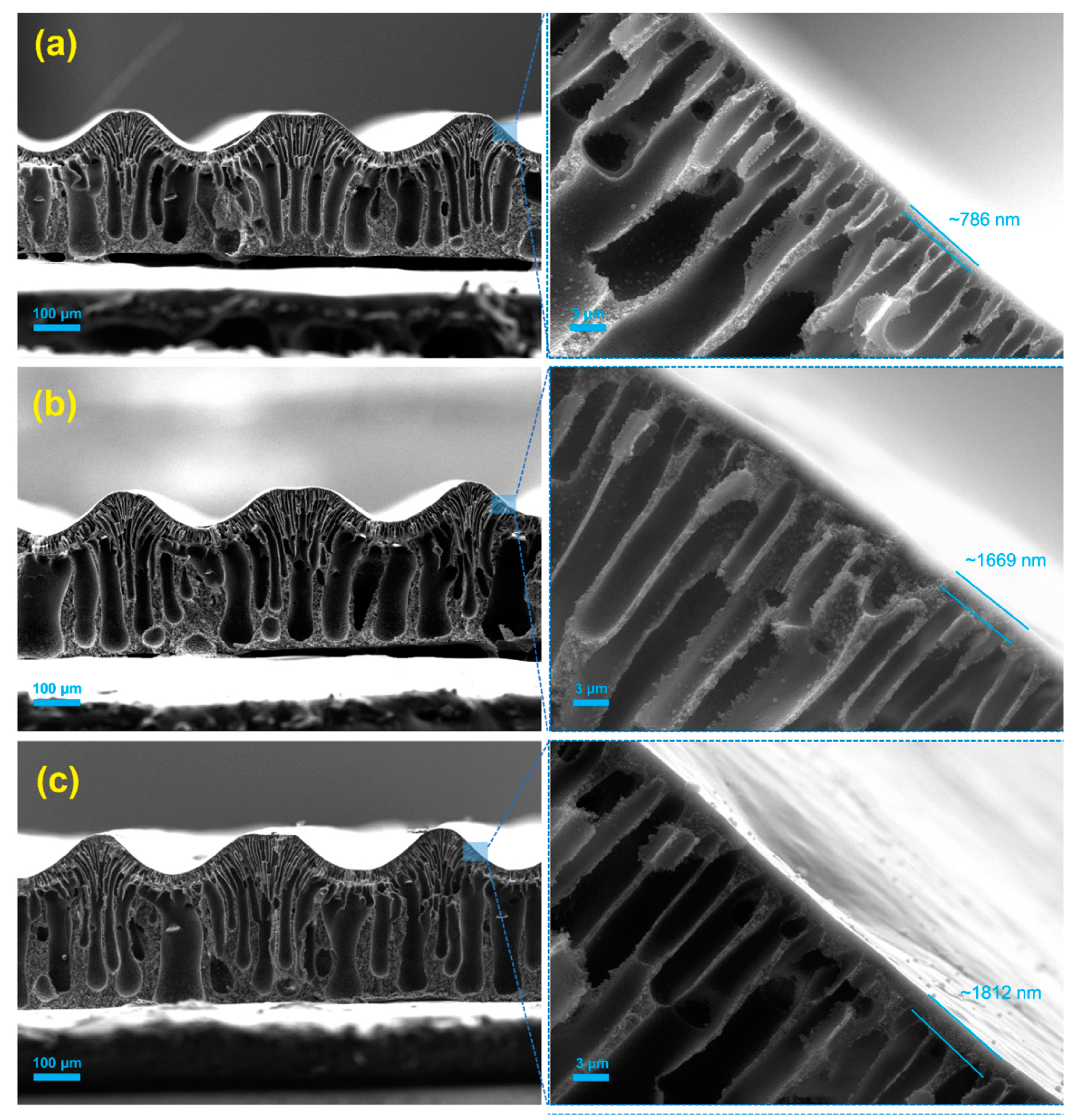 Micromachines 11 00108 g002