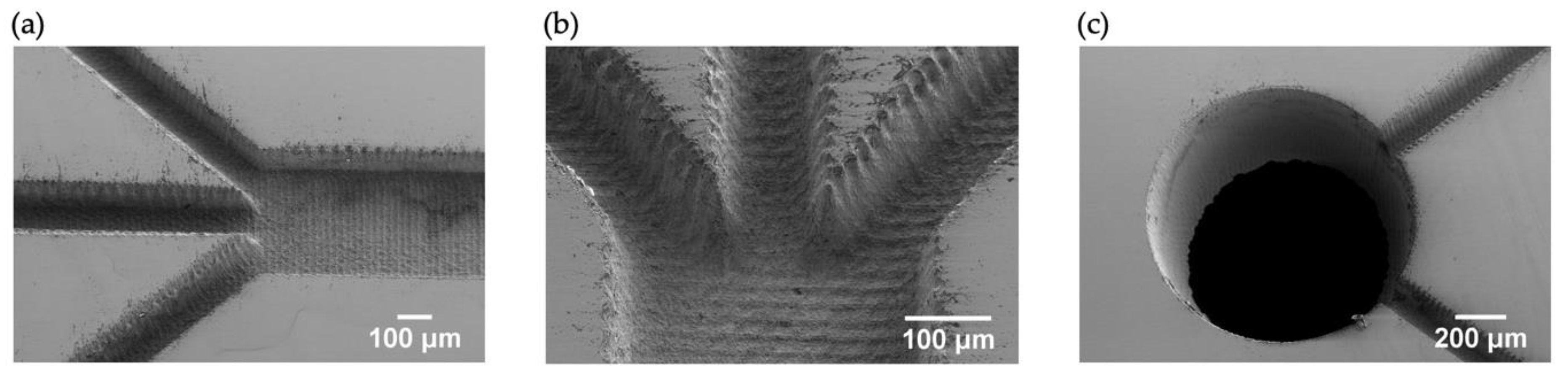 Micromachines 11 00113 g005