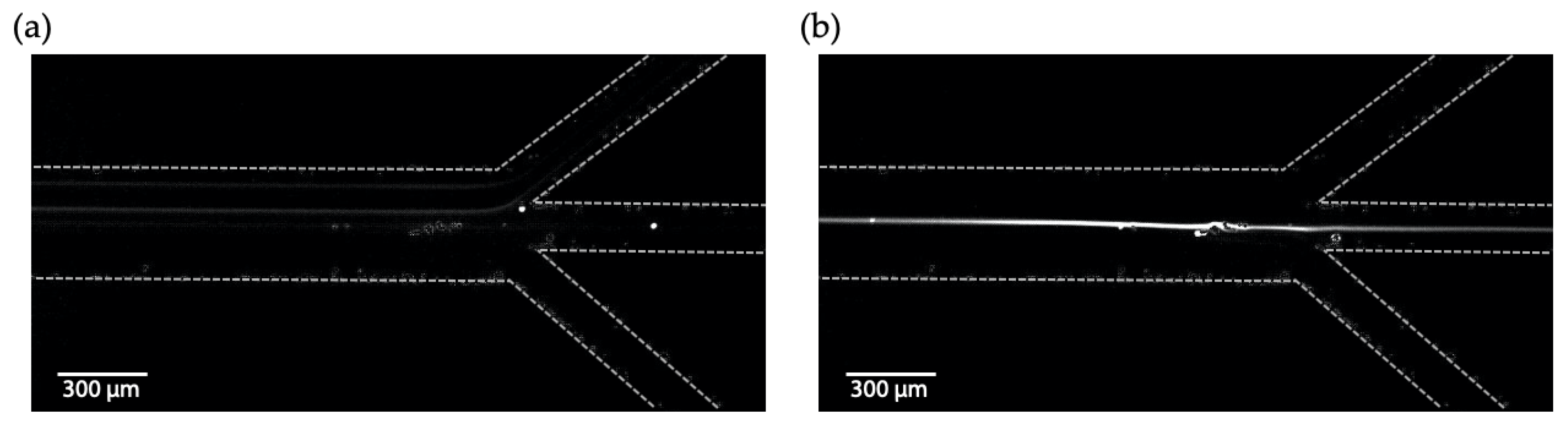 Micromachines 11 00113 g008