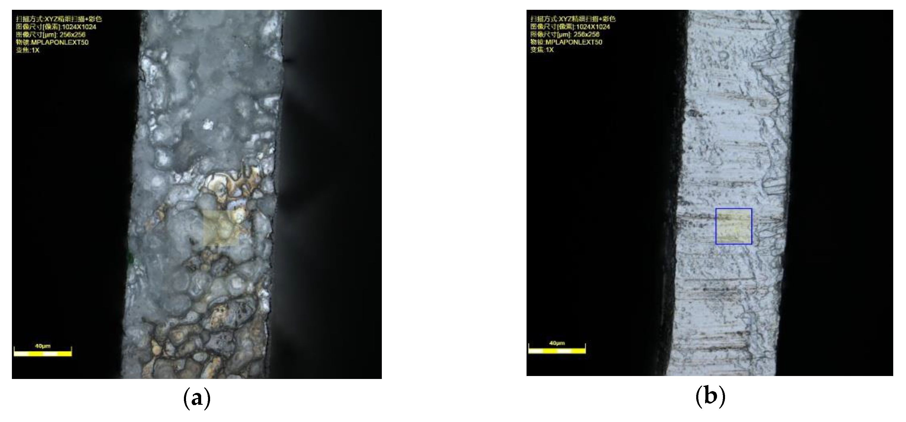 Micromachines 11 00122 g004