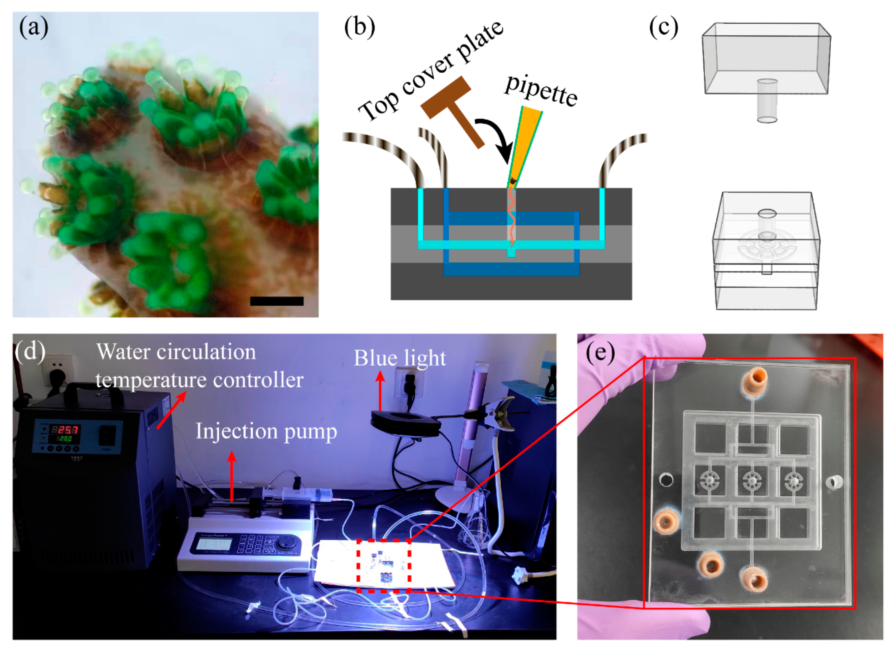 Micromachines 11 00127 g004 Micromachines 11 00127 g004