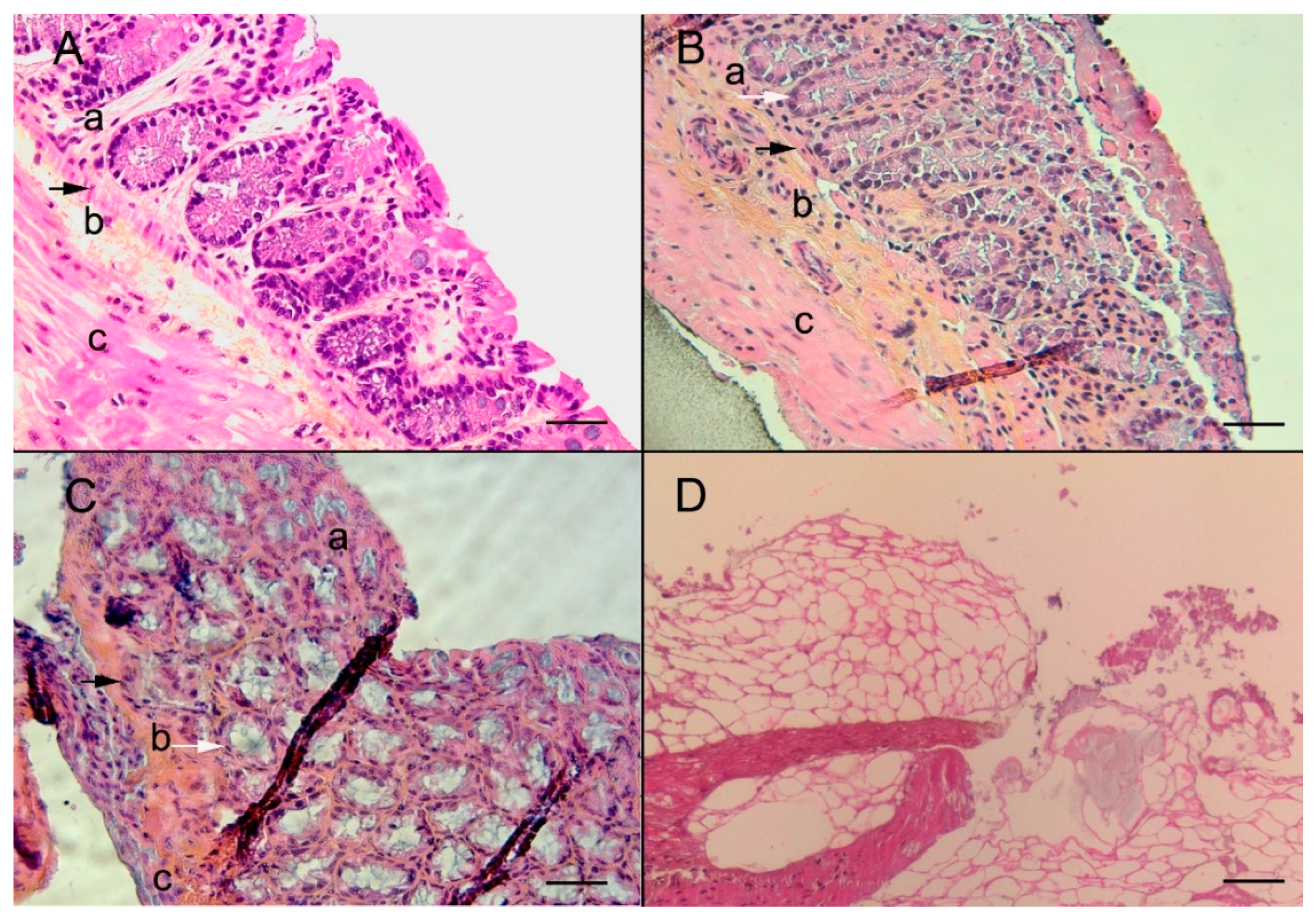 Micromachines 11 00150 g002