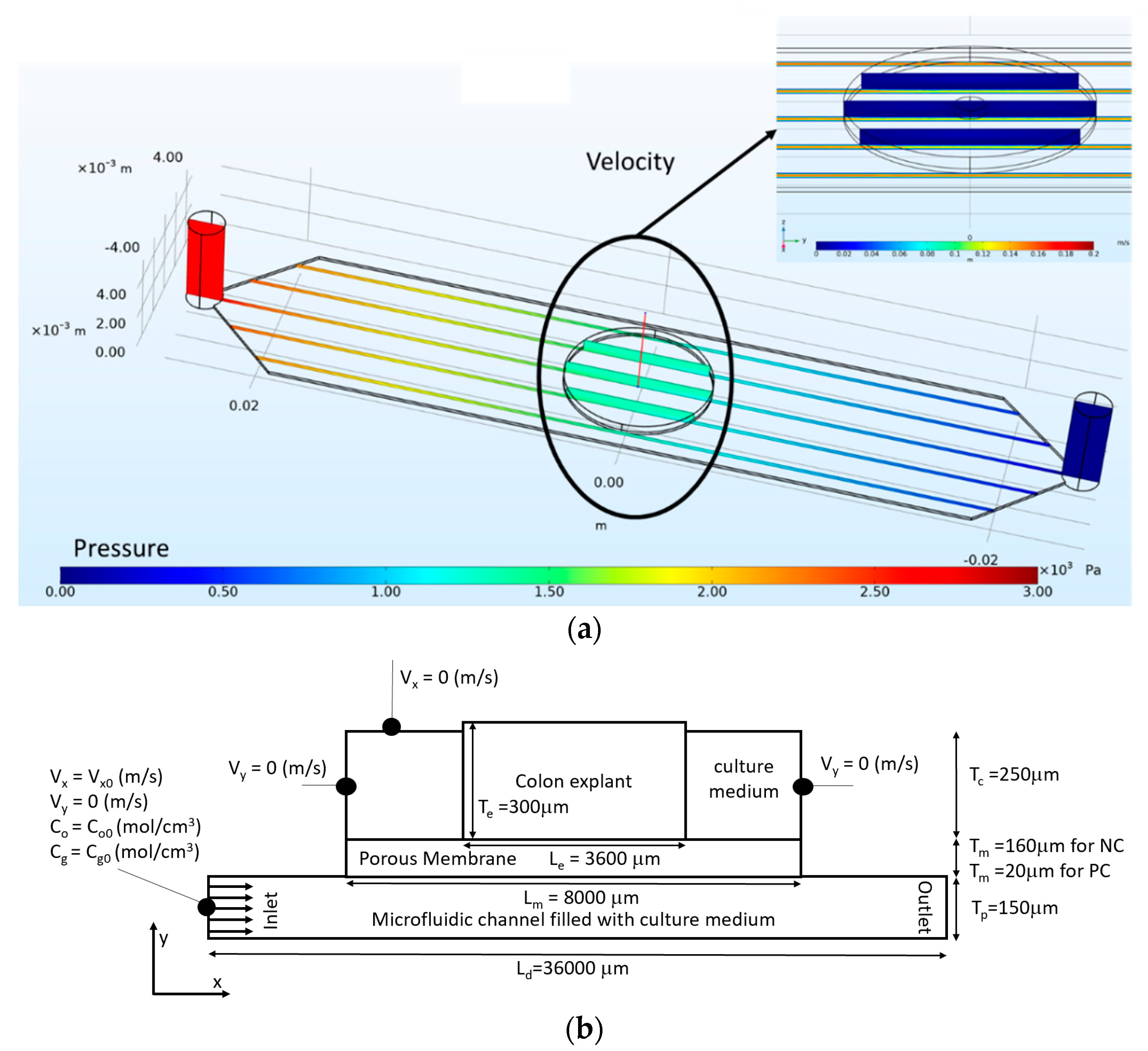 Micromachines 11 00150 g003