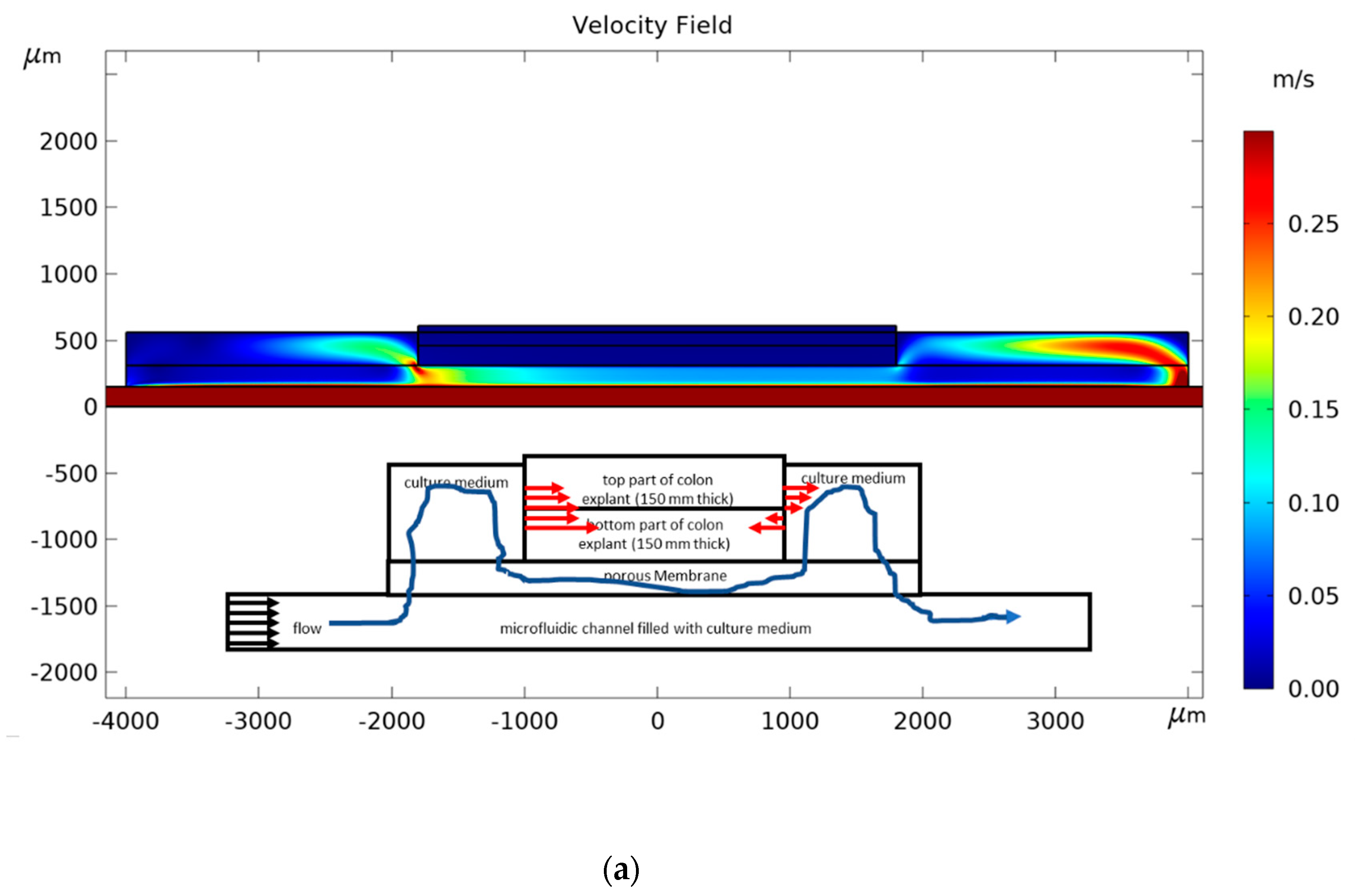 Micromachines 11 00150 g006a