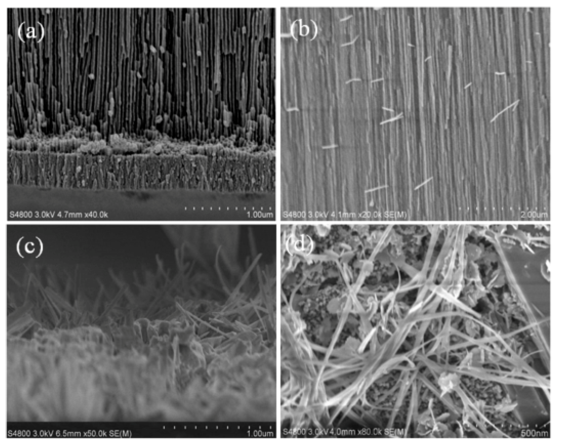 Micromachines 11 00153 g005