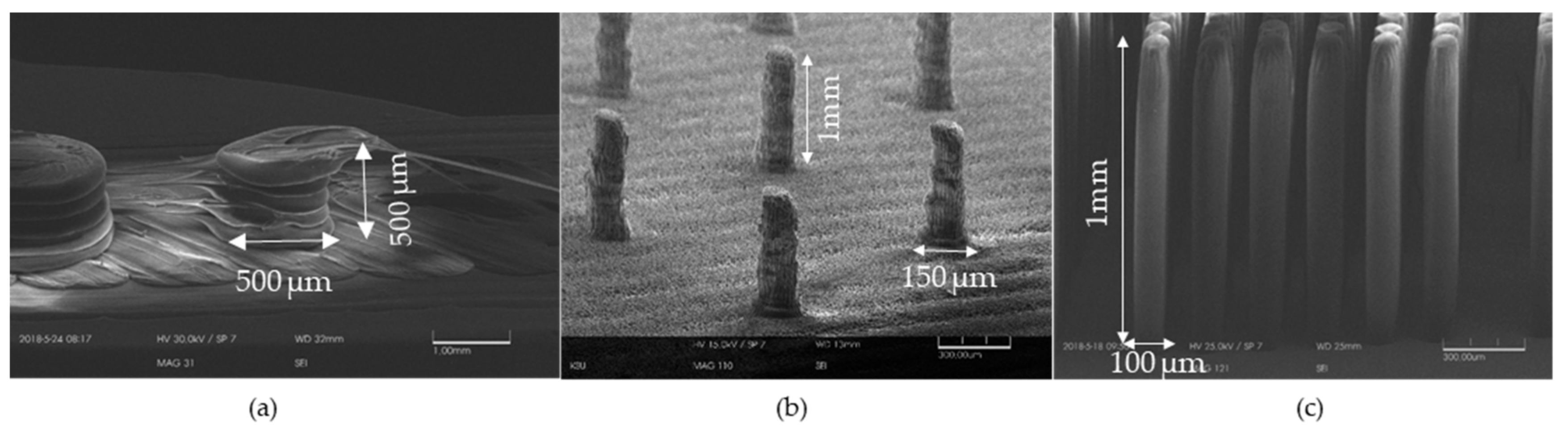 Micromachines 11 00157 g007