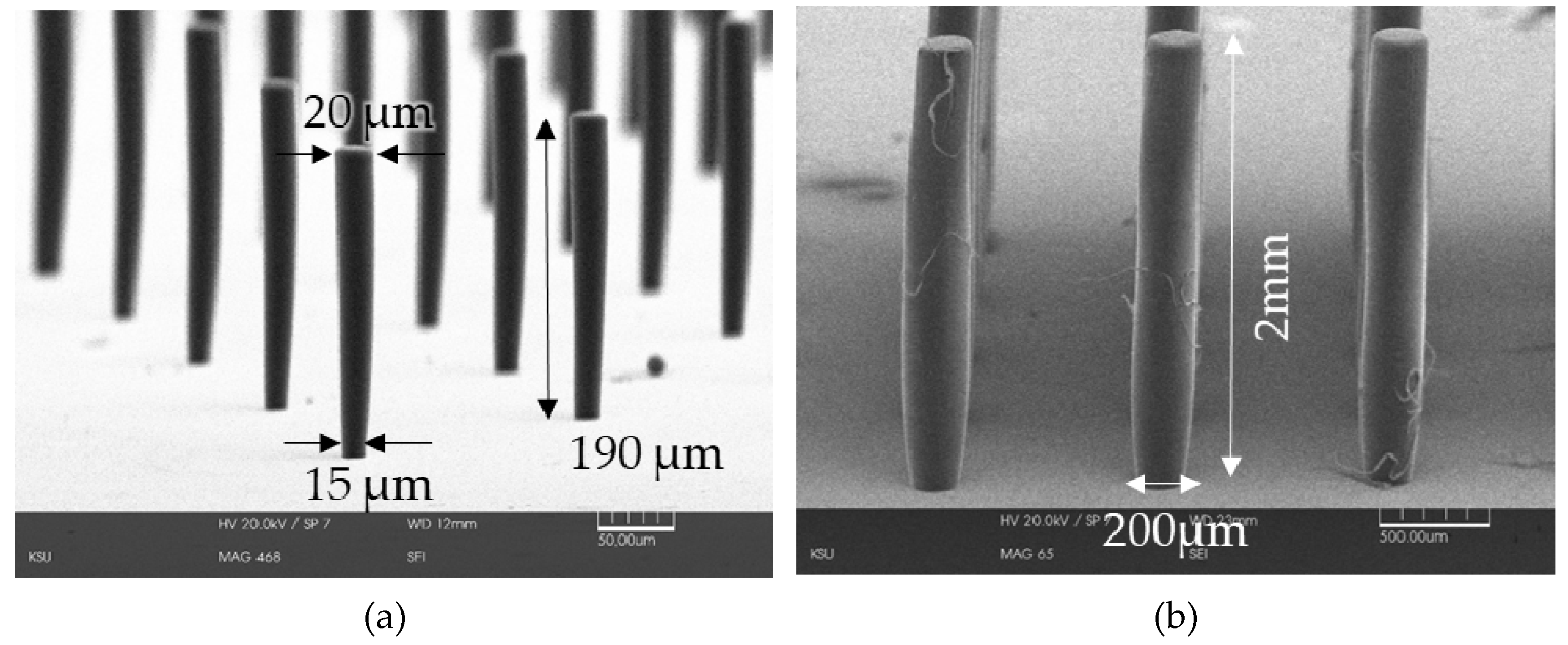 Micromachines 11 00157 g008