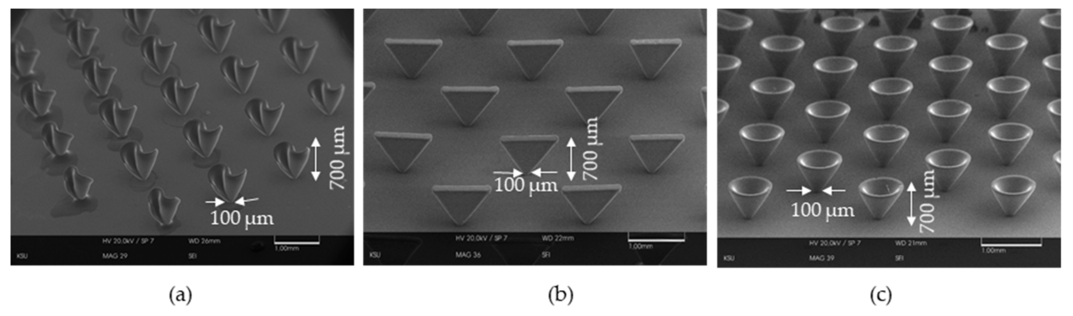 Micromachines 11 00157 g009