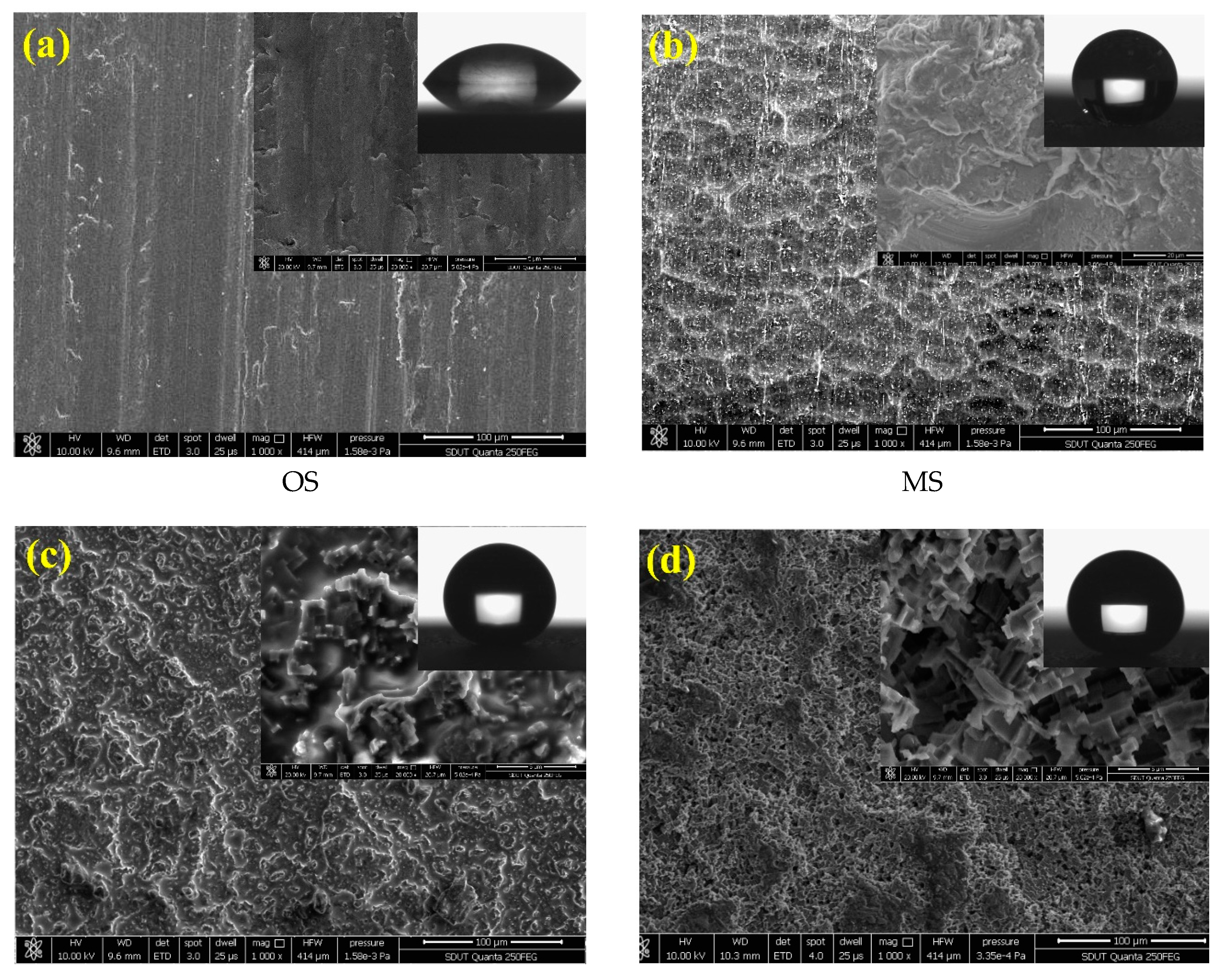 Micromachines 11 00159 g003