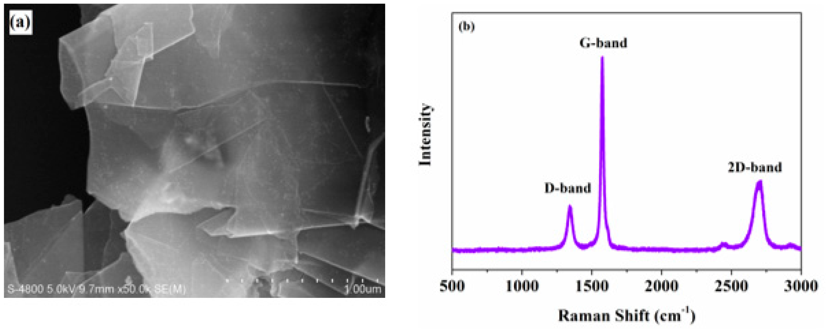 Micromachines 11 00160 g001