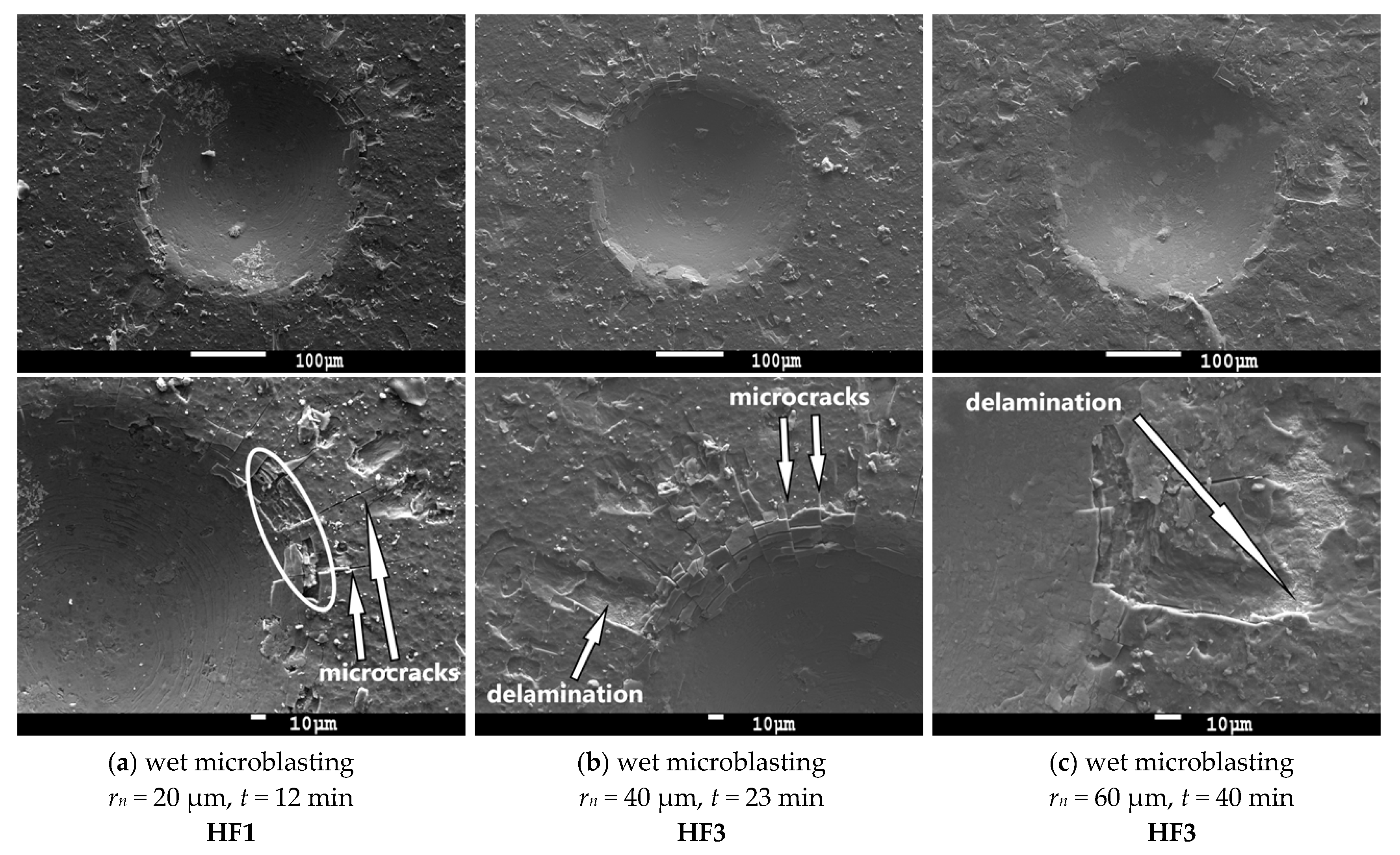 Micromachines 11 00166 g008