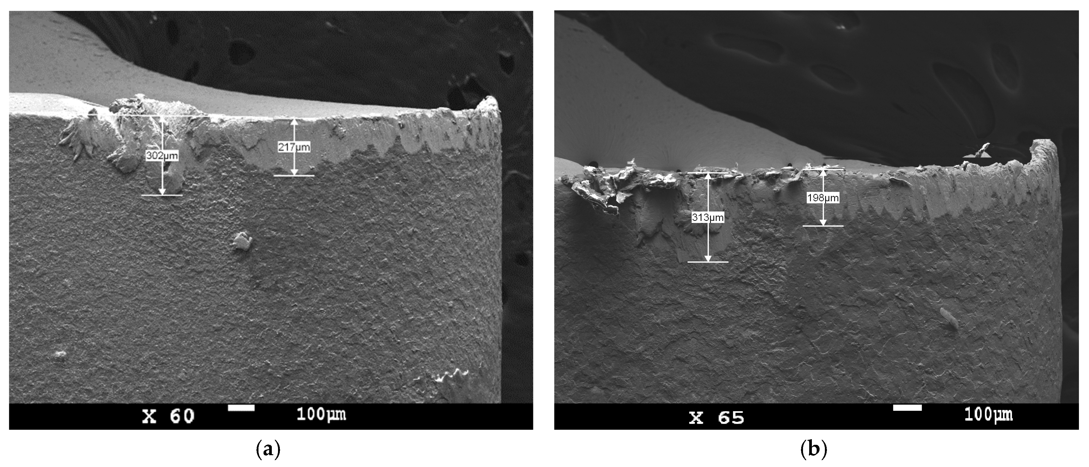 Micromachines 11 00166 g012
