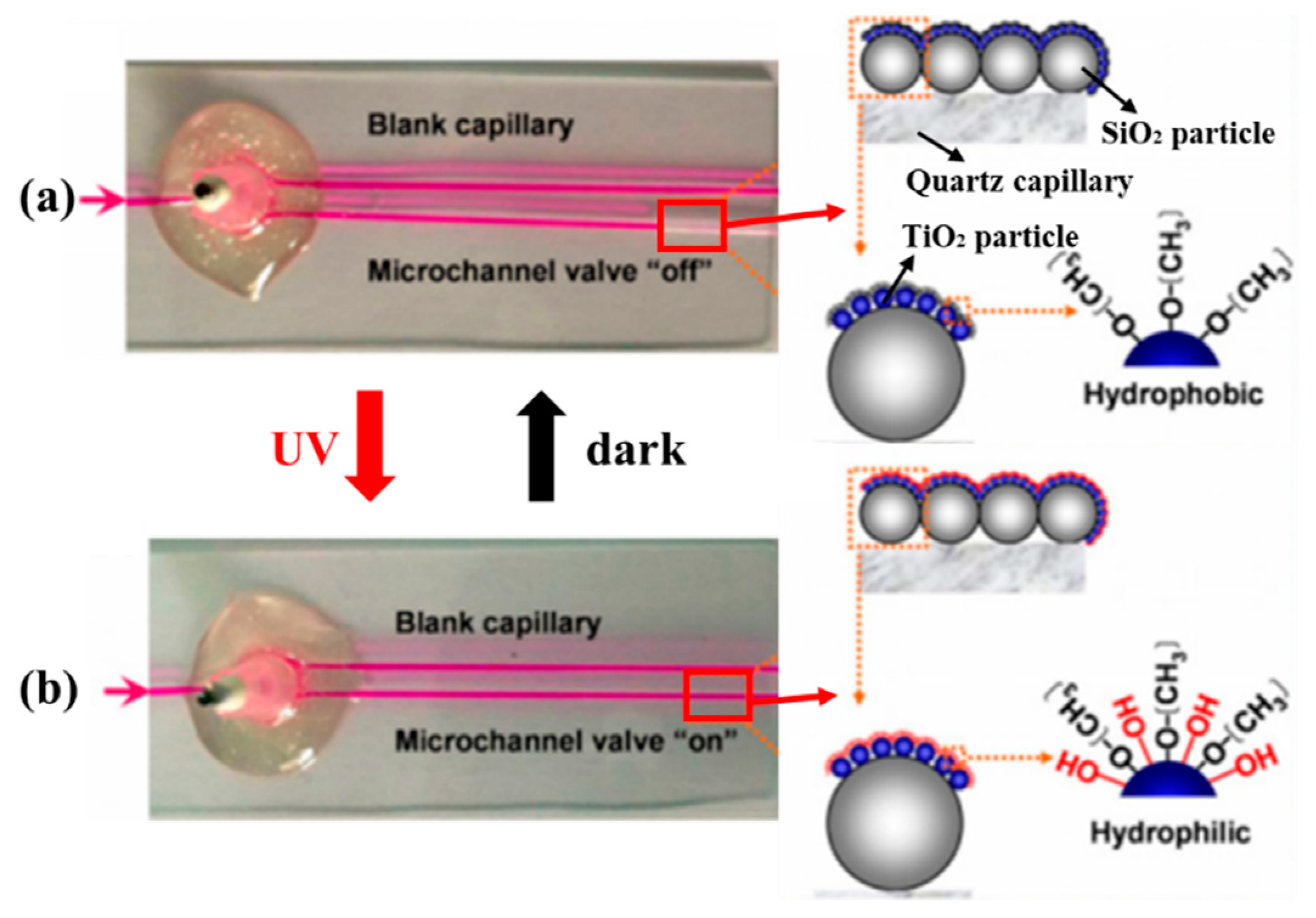Micromachines 11 00172 g014