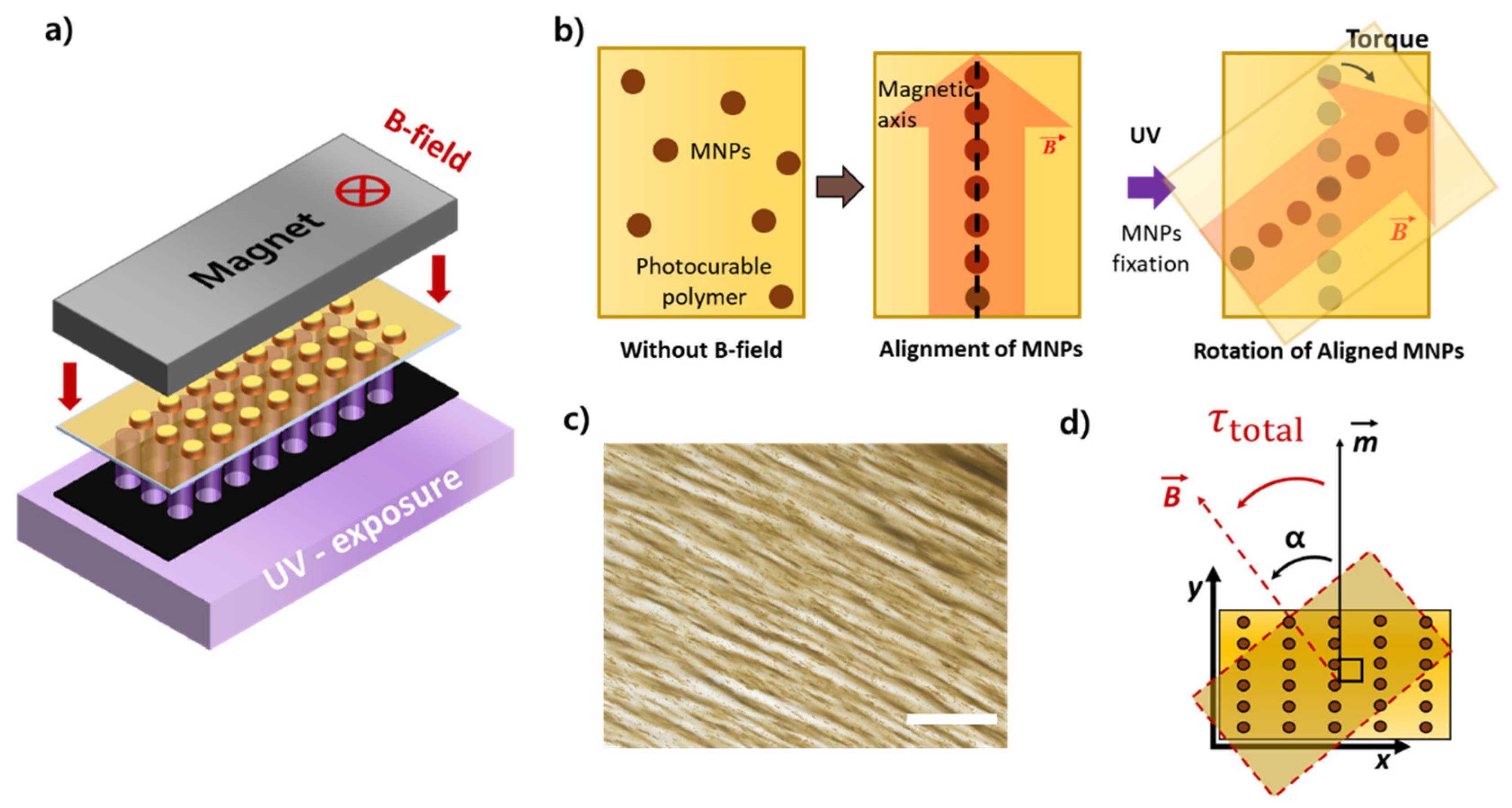Micromachines 11 00175 g002