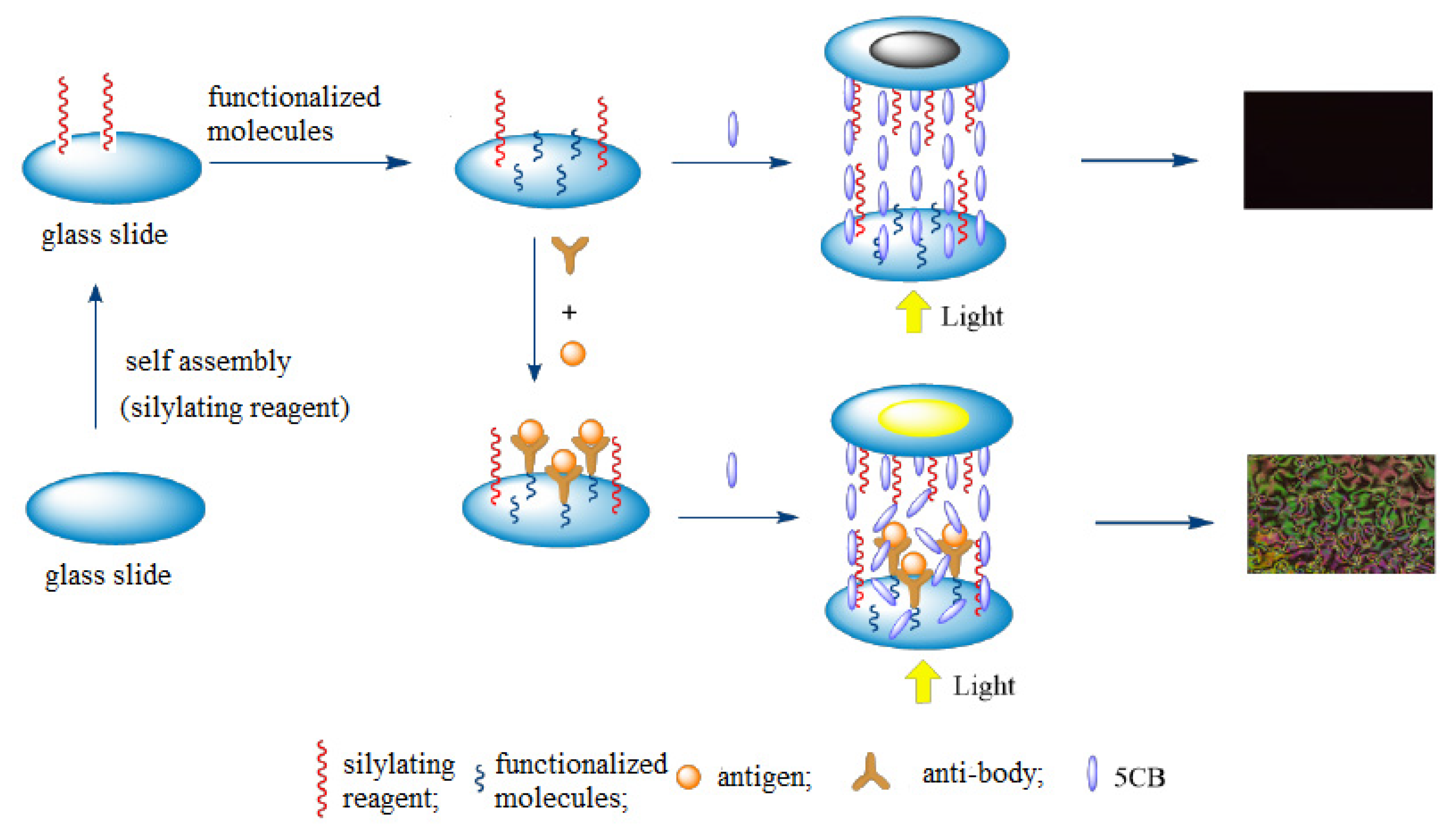 Micromachines 11 00176 g004