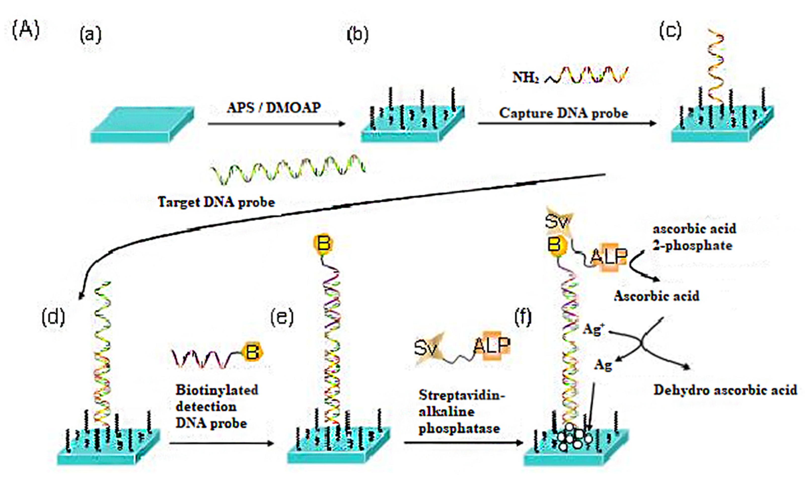 Micromachines 11 00176 g008
