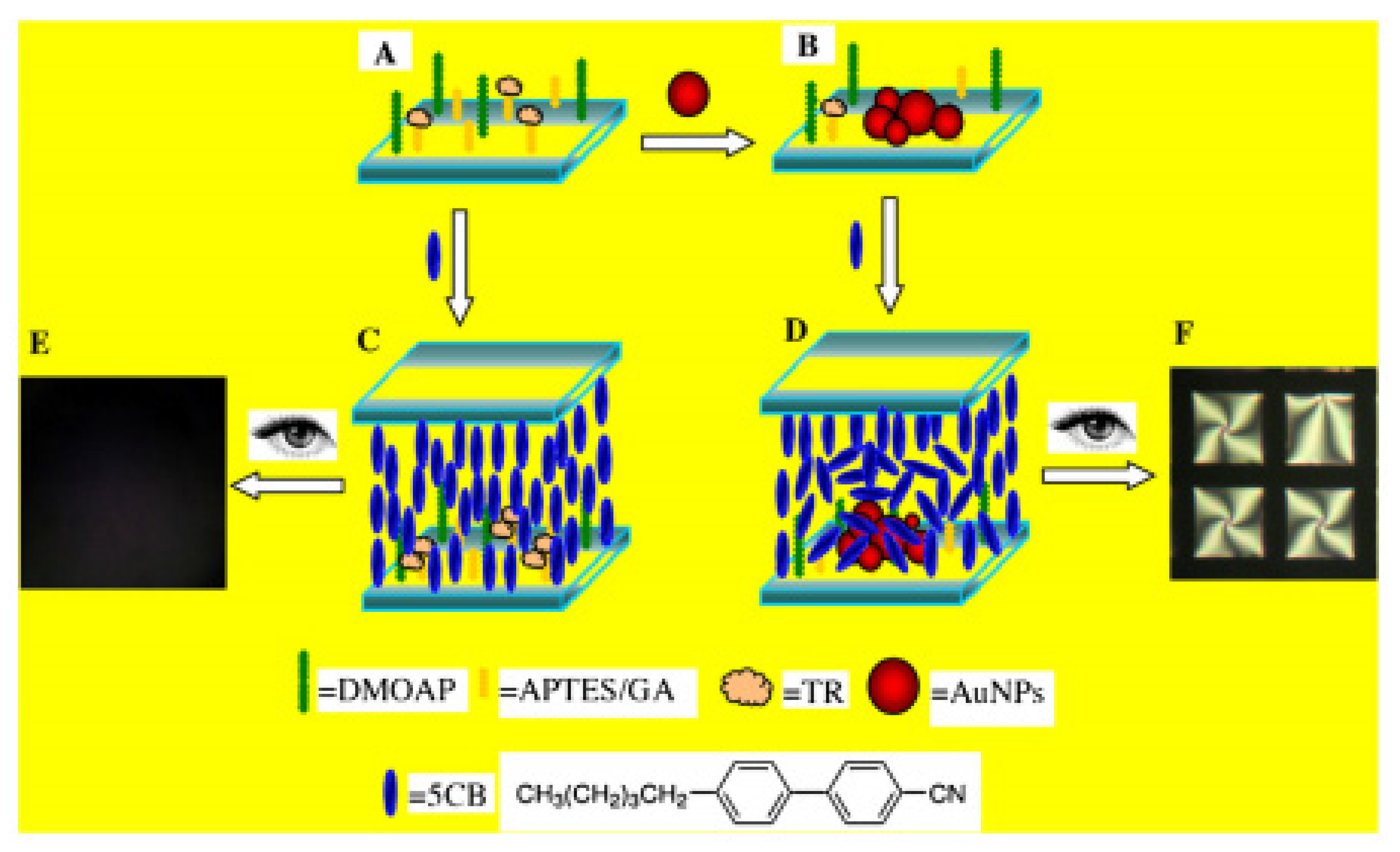 Micromachines 11 00176 g009