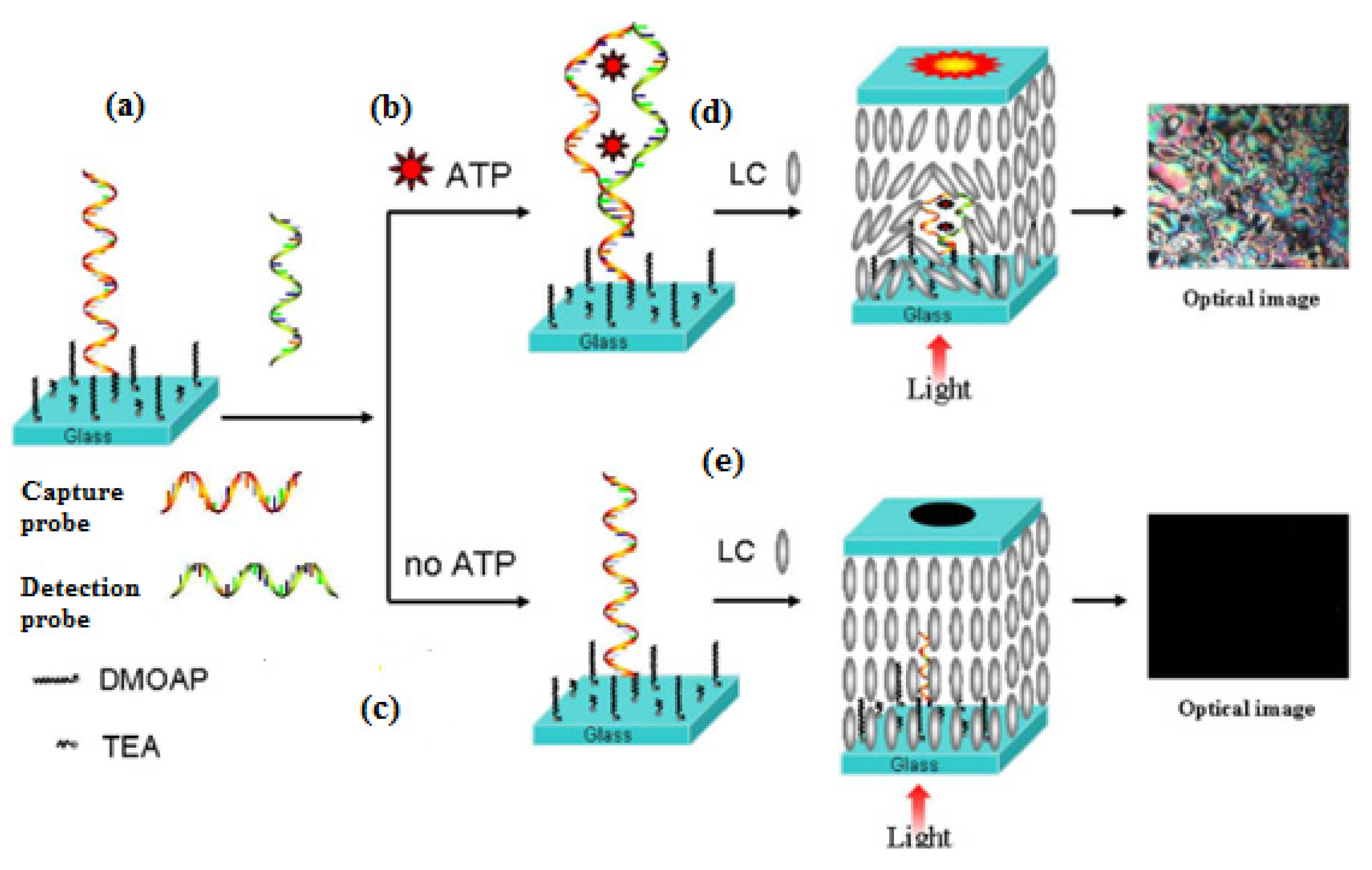 Micromachines 11 00176 g010