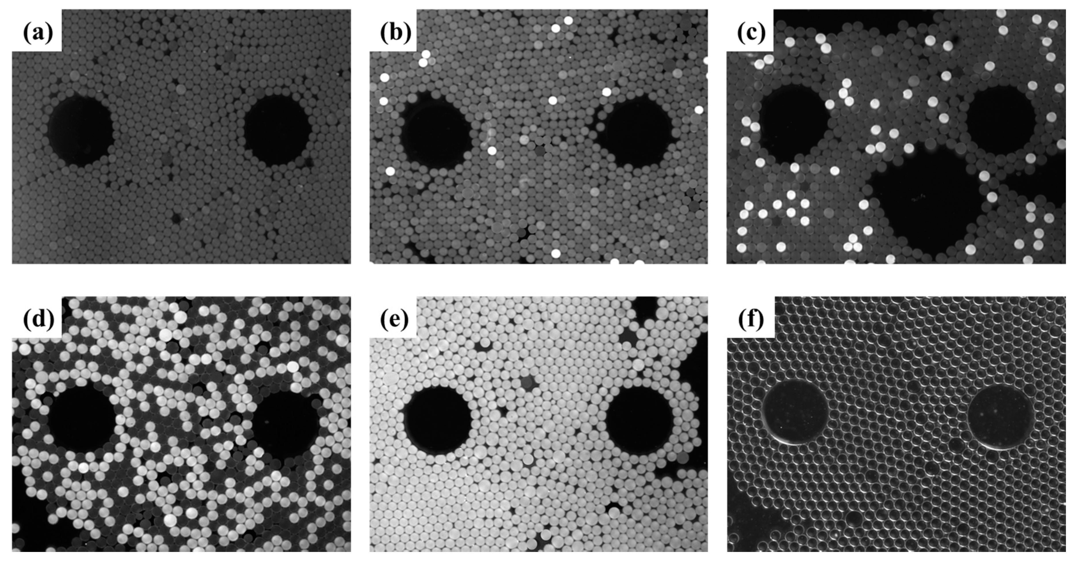 Micromachines 11 00177 g009 Micromachines 11 00177 g009