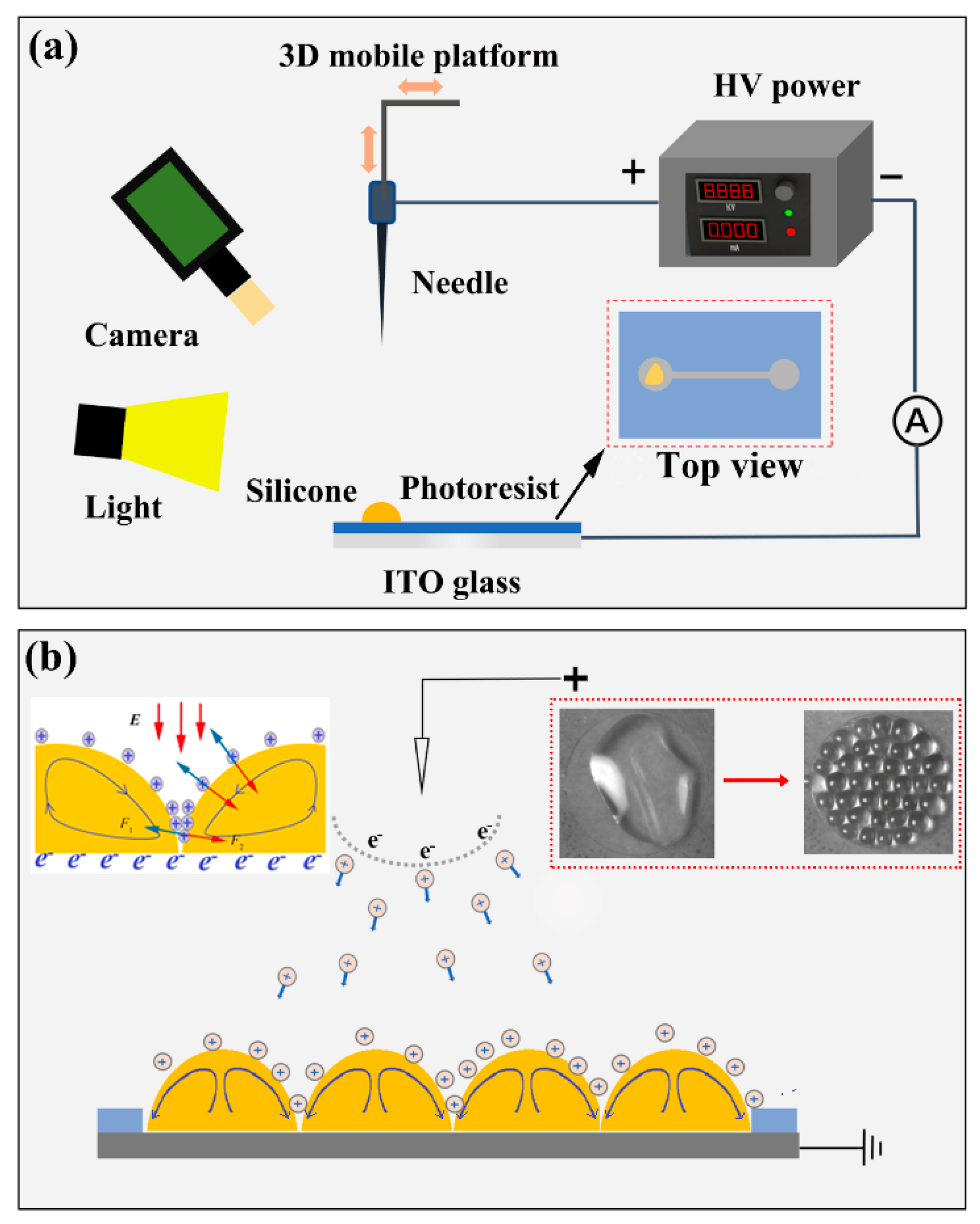 Micromachines 11 00181 g001