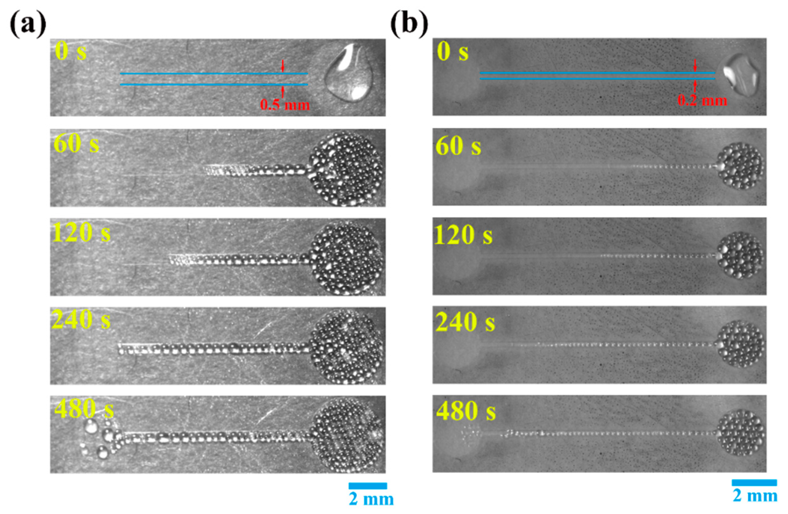 Micromachines 11 00181 g002