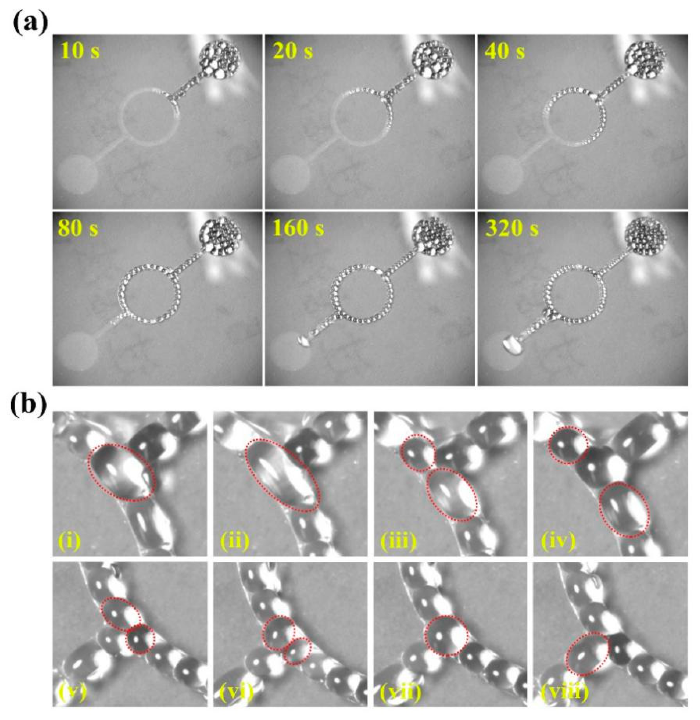 Micromachines 11 00181 g005