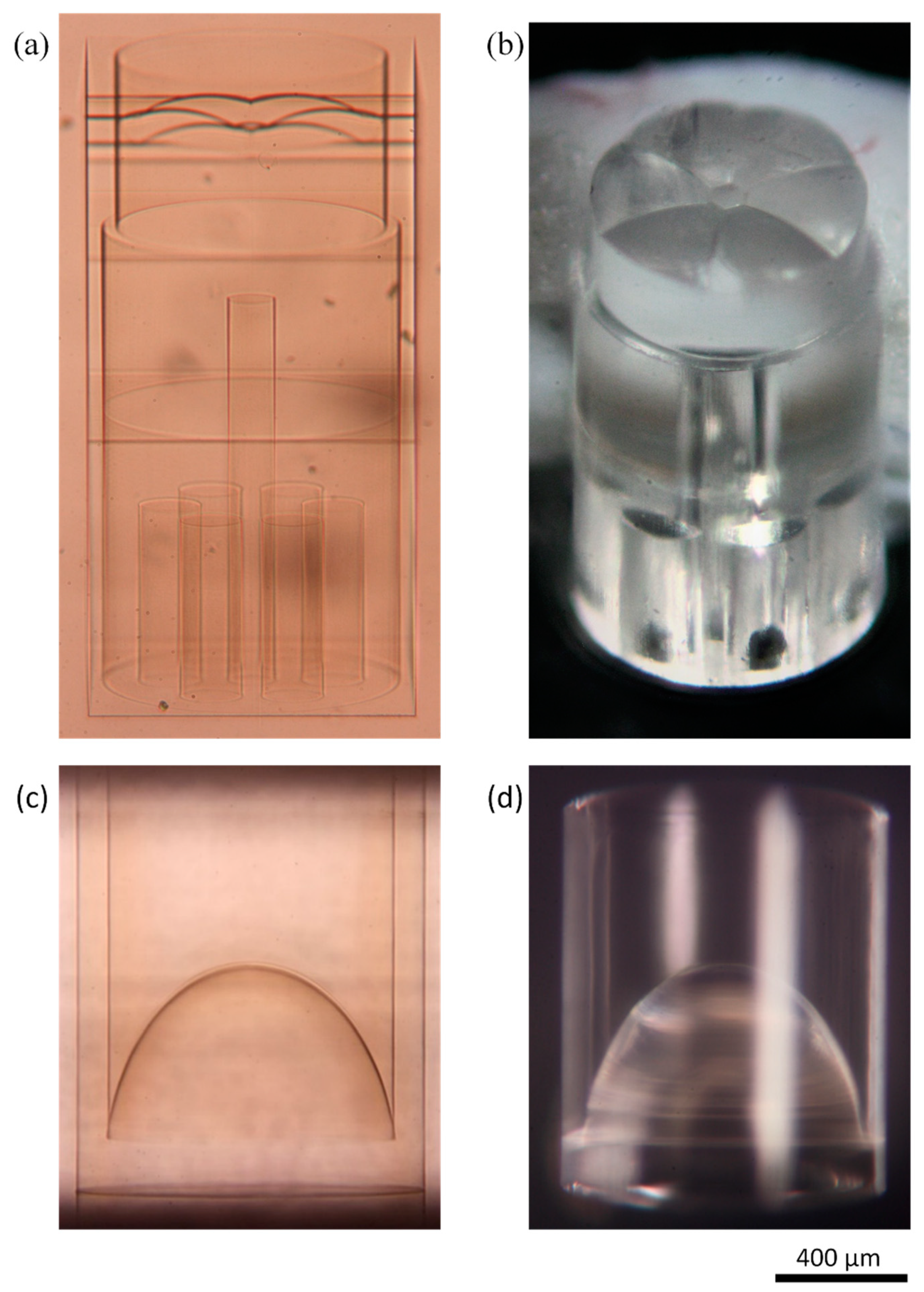 Micromachines 11 00185 g003