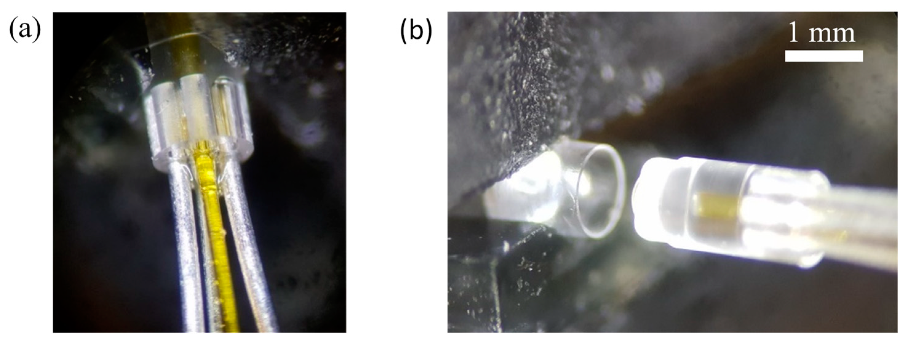 Micromachines 11 00185 g005
