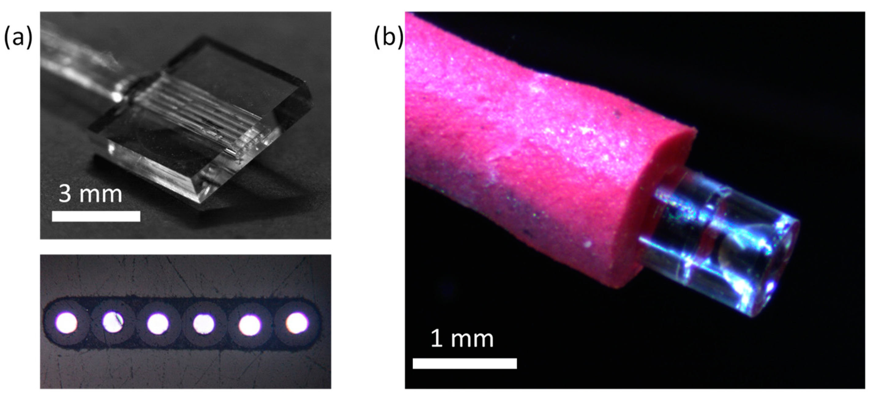 Micromachines 11 00185 g006