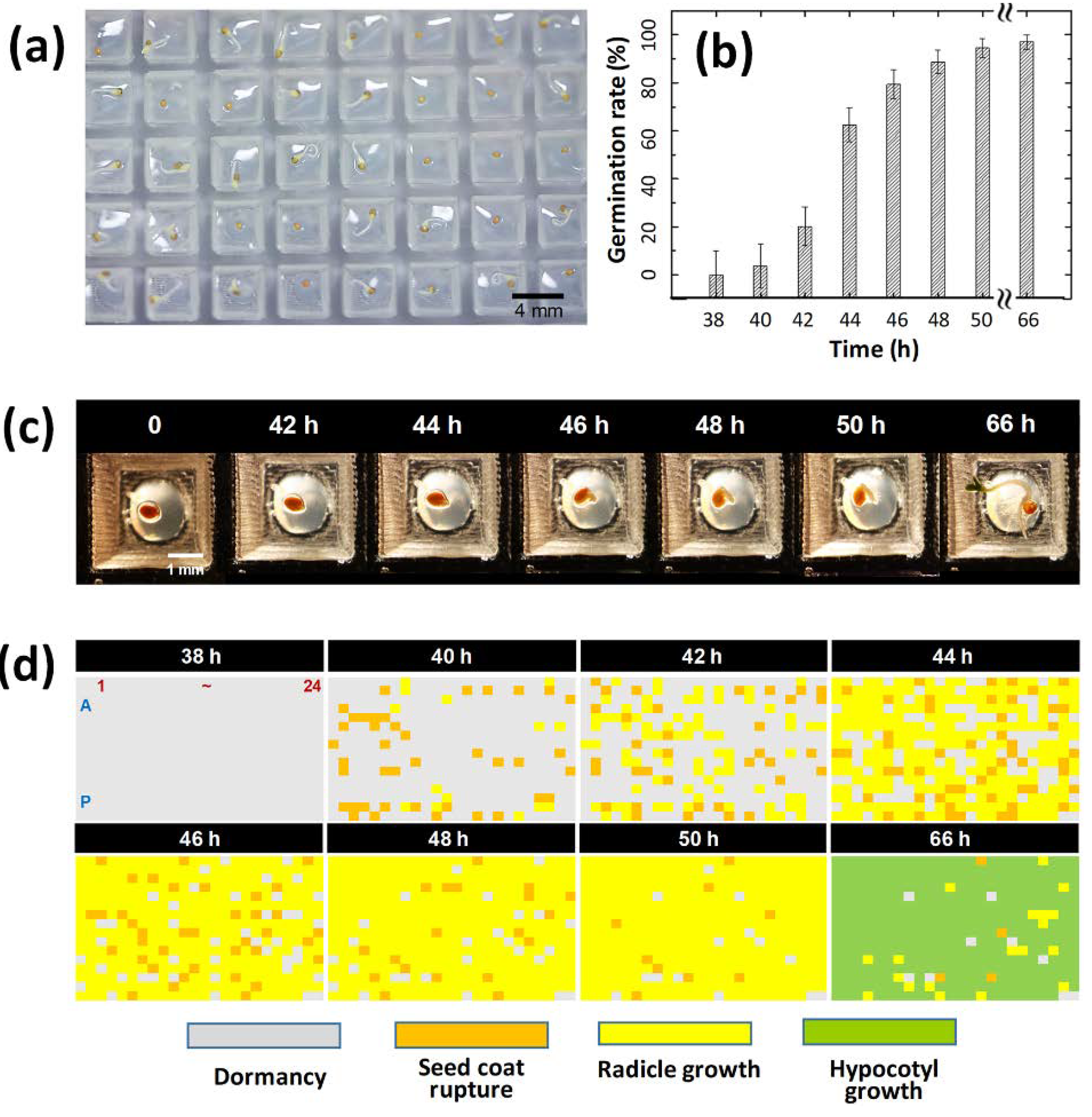 Micromachines 11 00191 g003