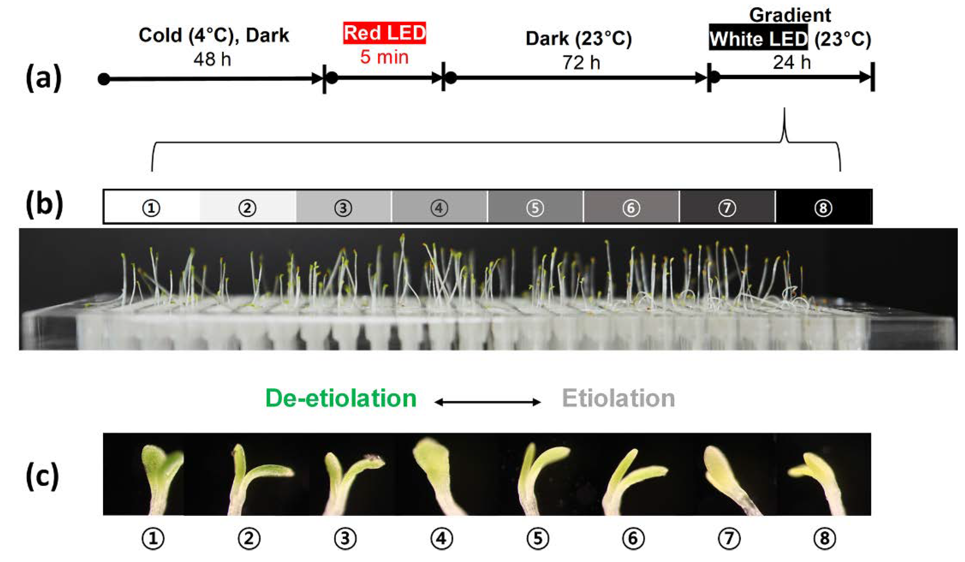 Micromachines 11 00191 g004