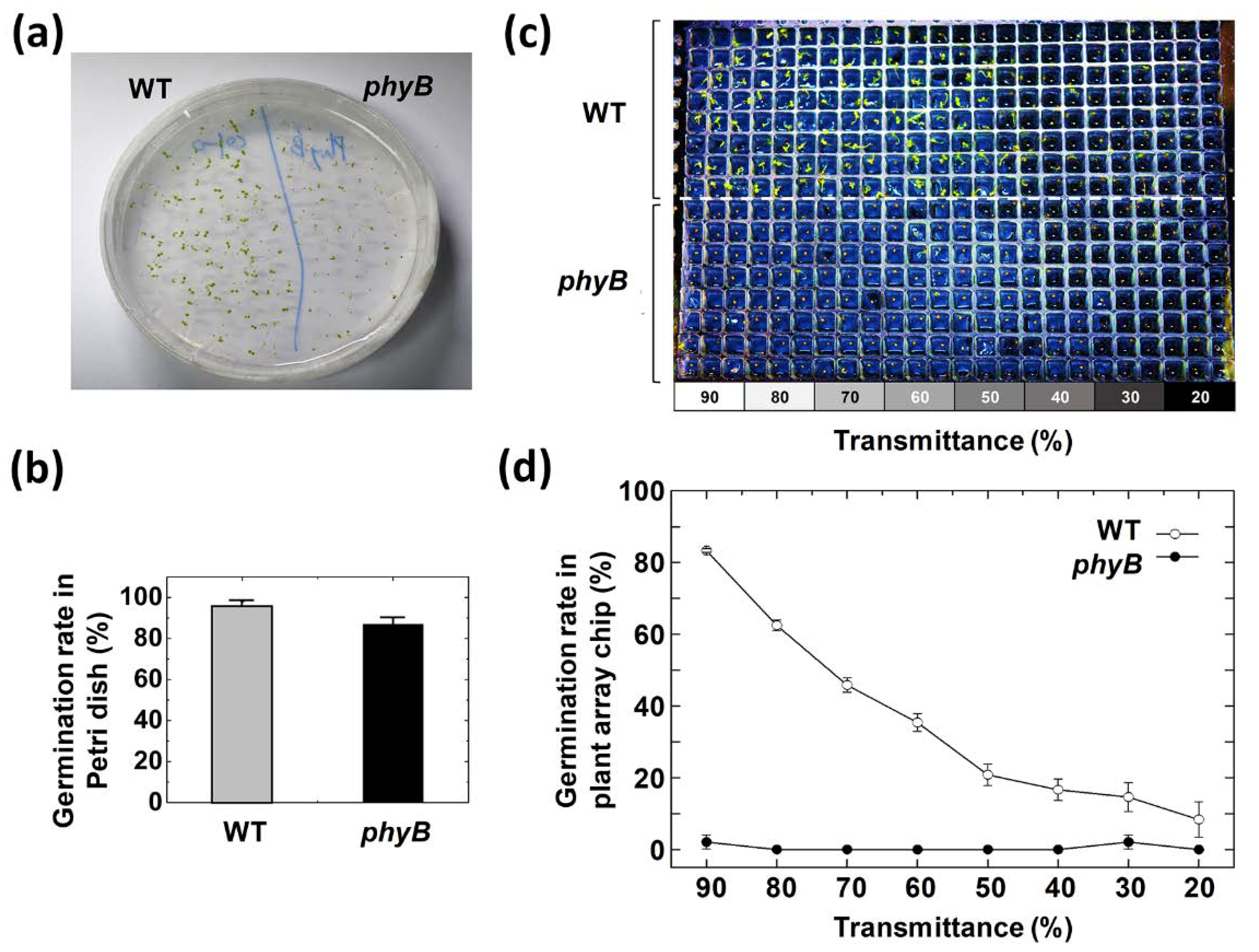 Micromachines 11 00191 g005