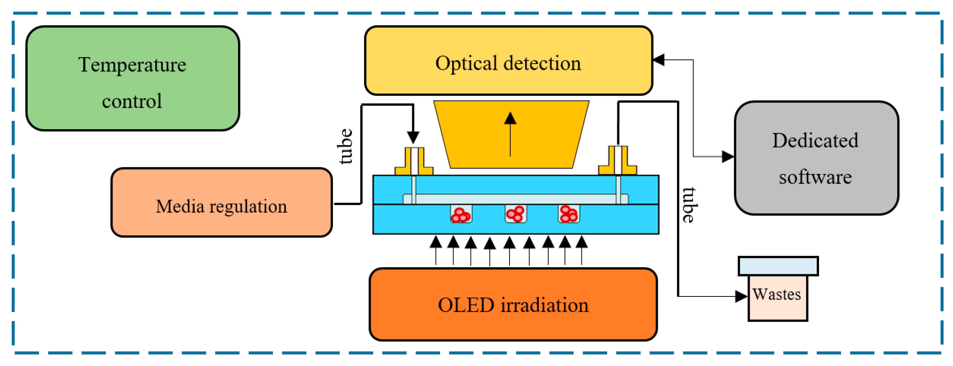 Micromachines 11 00196 g001