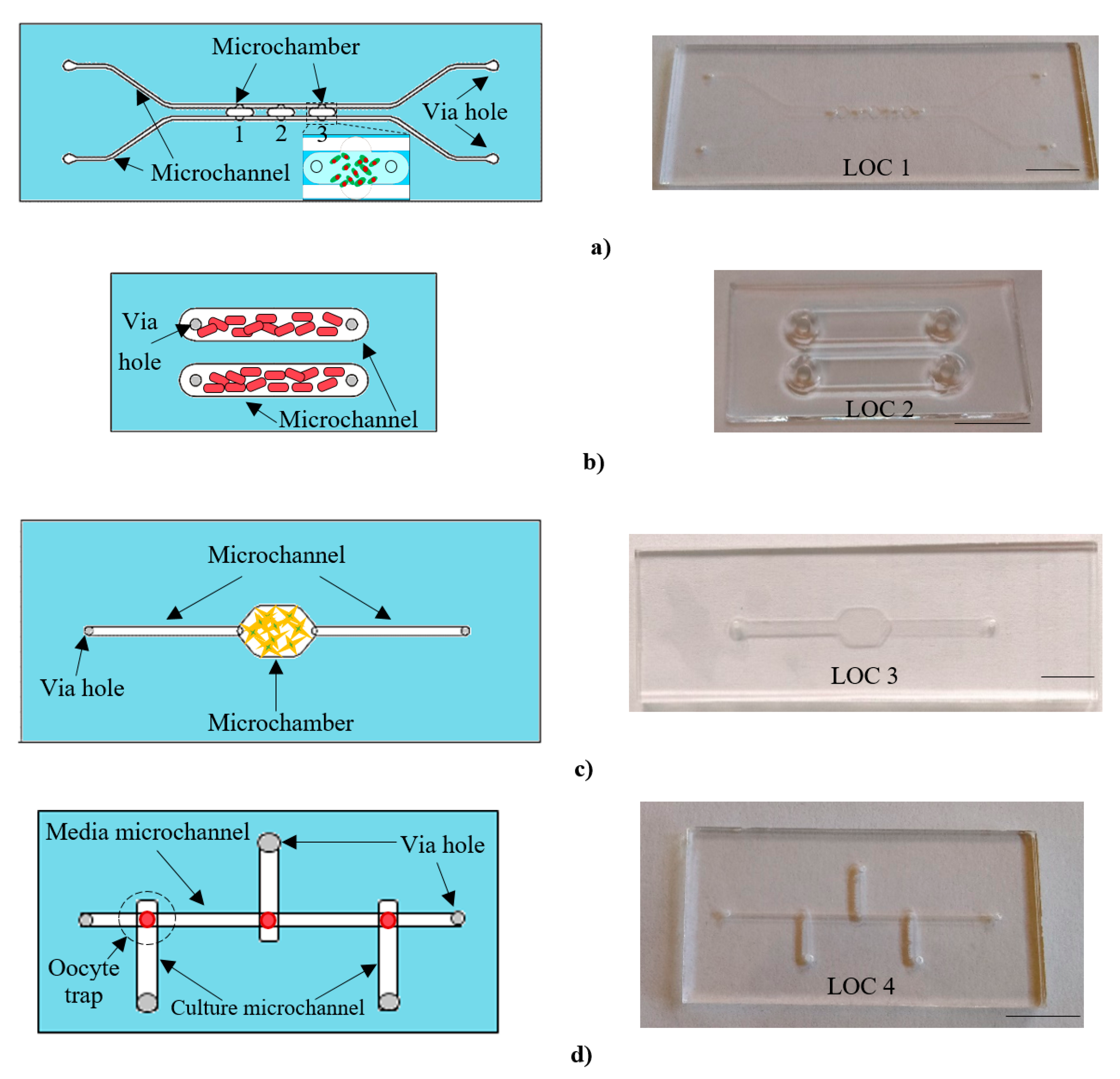 Micromachines 11 00196 g002