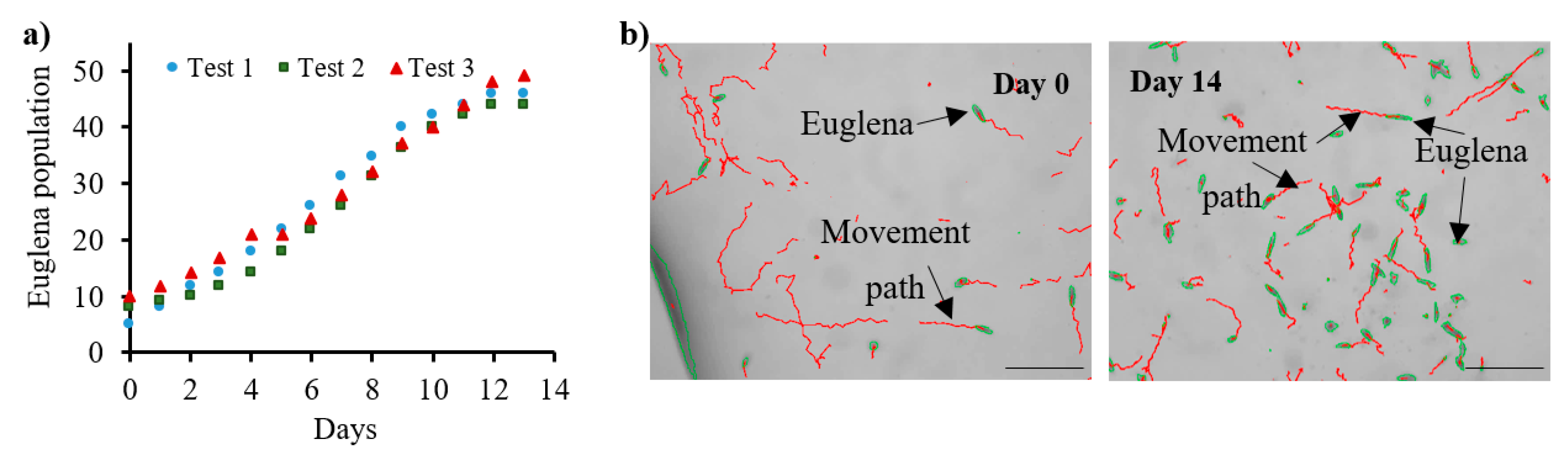 Micromachines 11 00196 g005