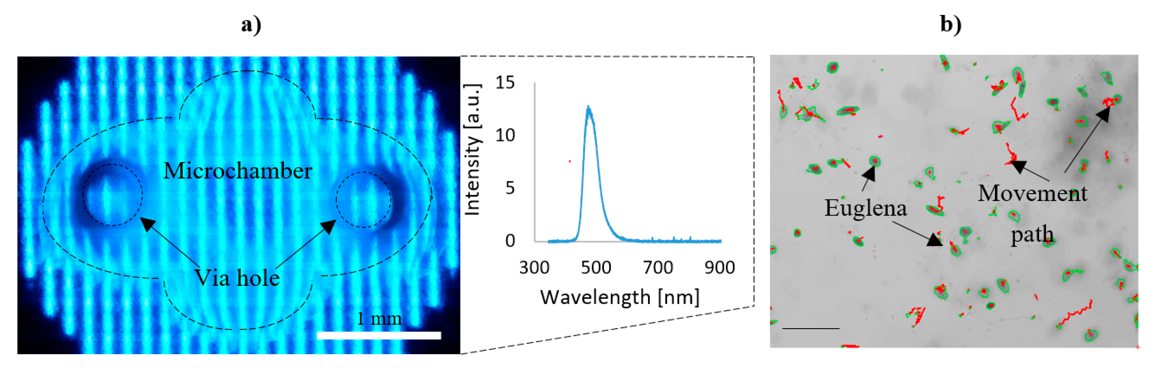 Micromachines 11 00196 g006