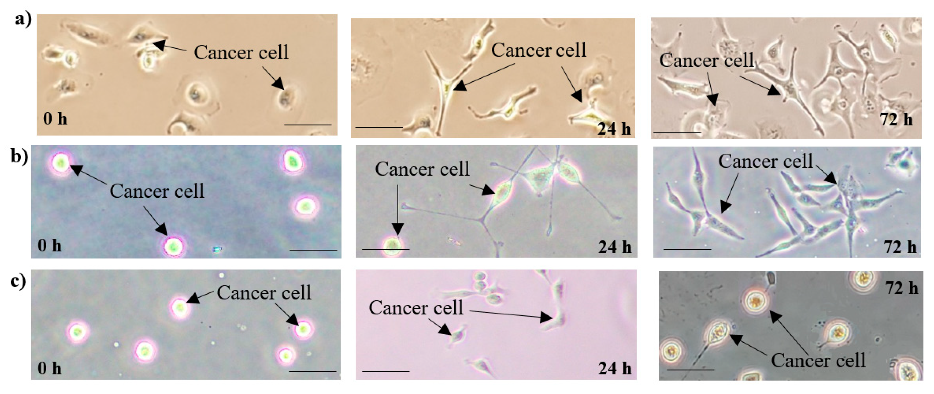 Micromachines 11 00196 g007