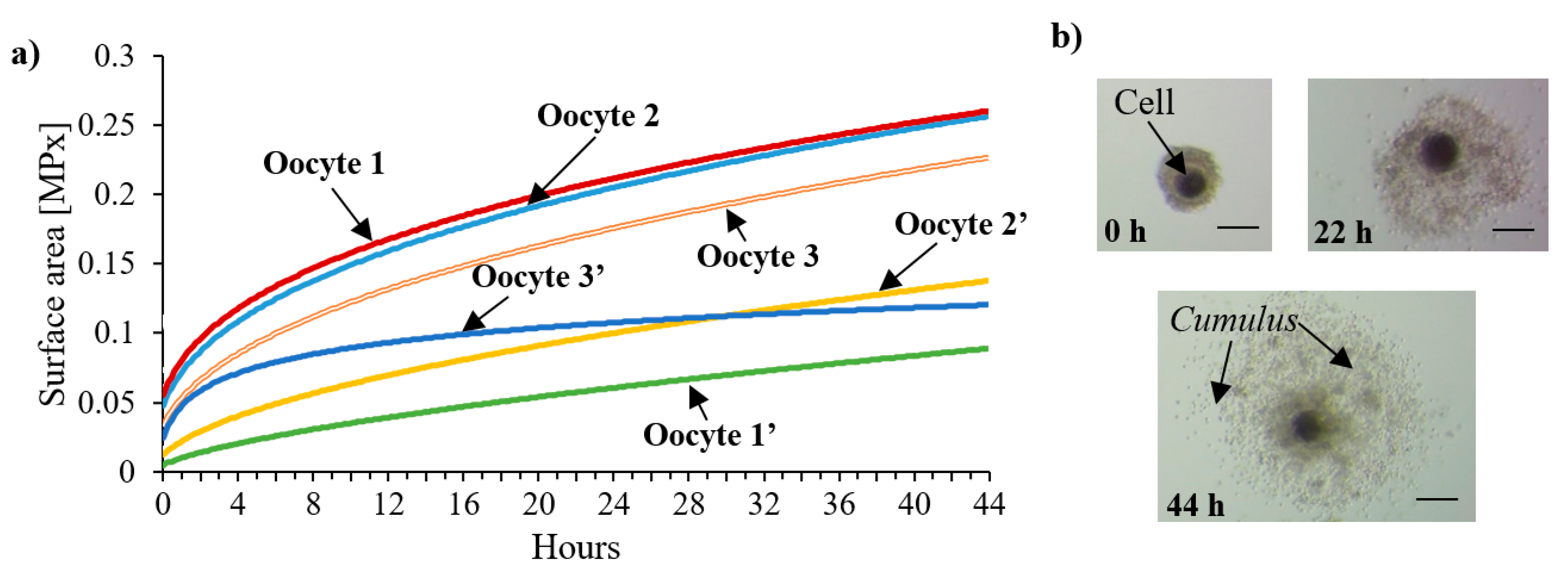 Micromachines 11 00196 g008