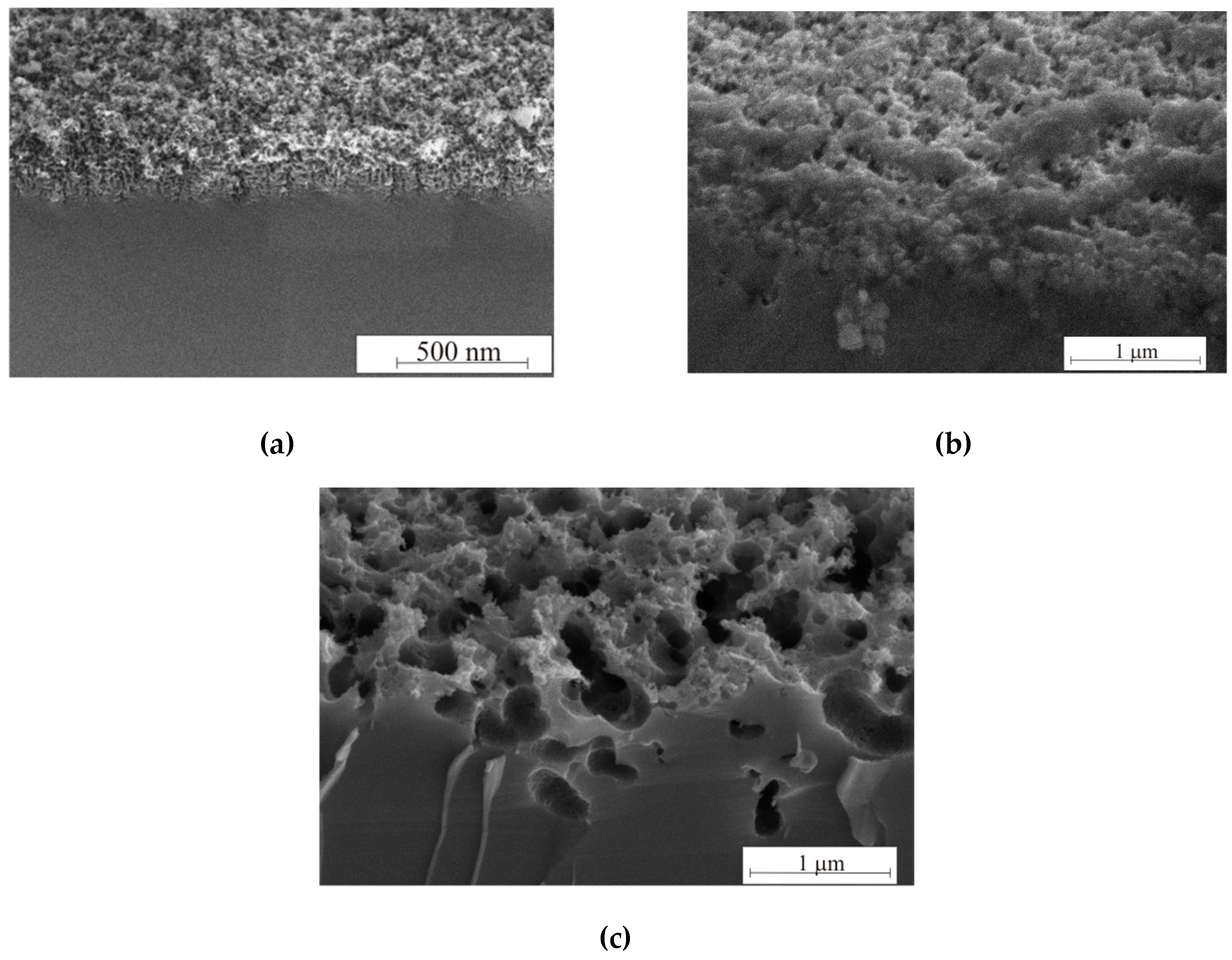 Micromachines 11 00199 g008