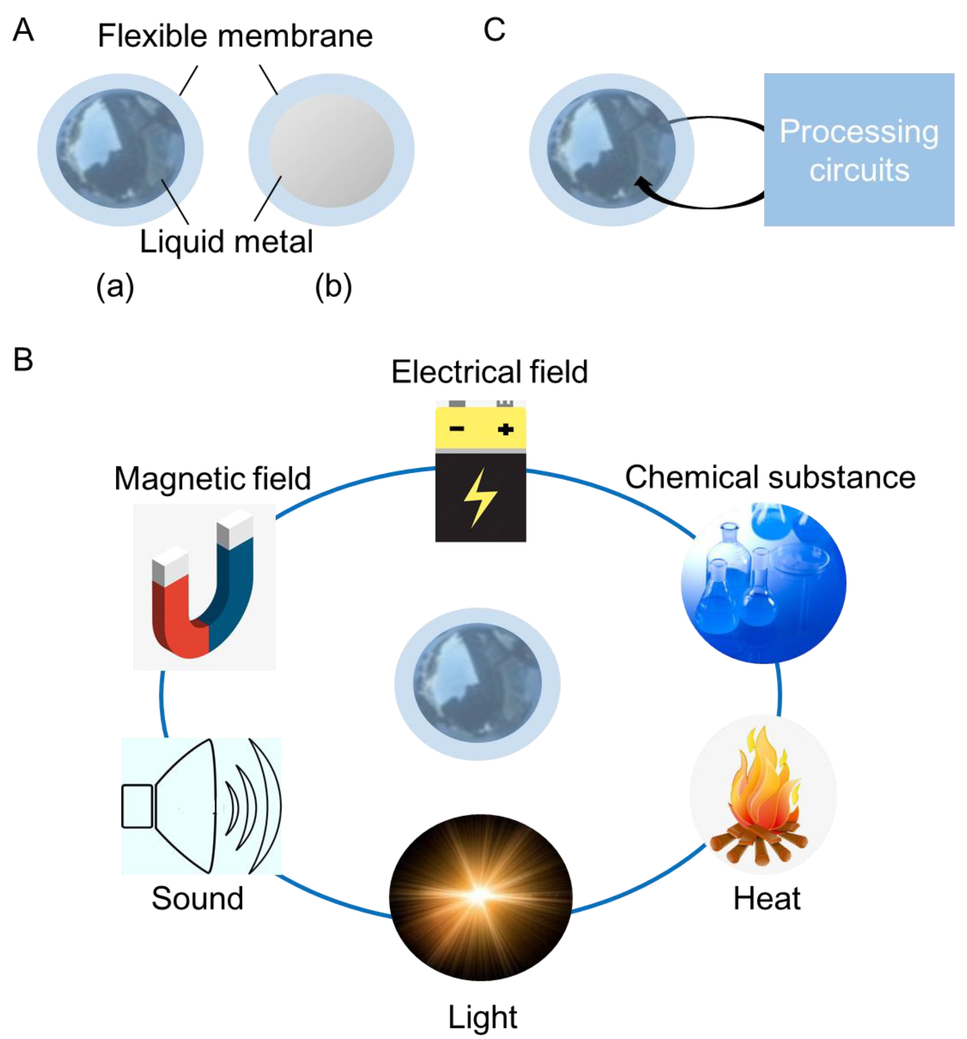 Micromachines 11 00200 g012
