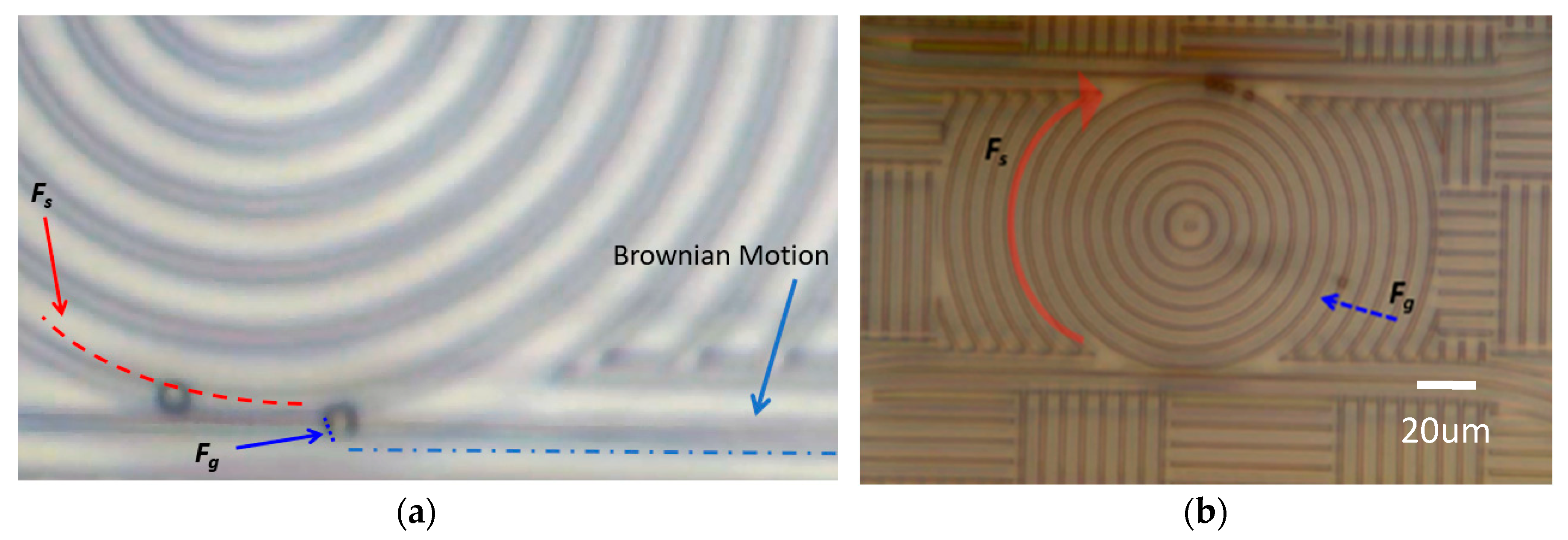 Micromachines 11 00202 g005