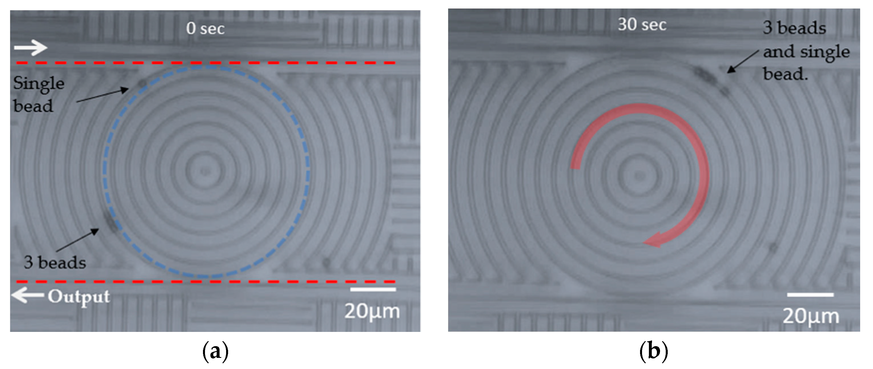 Micromachines 11 00202 g006