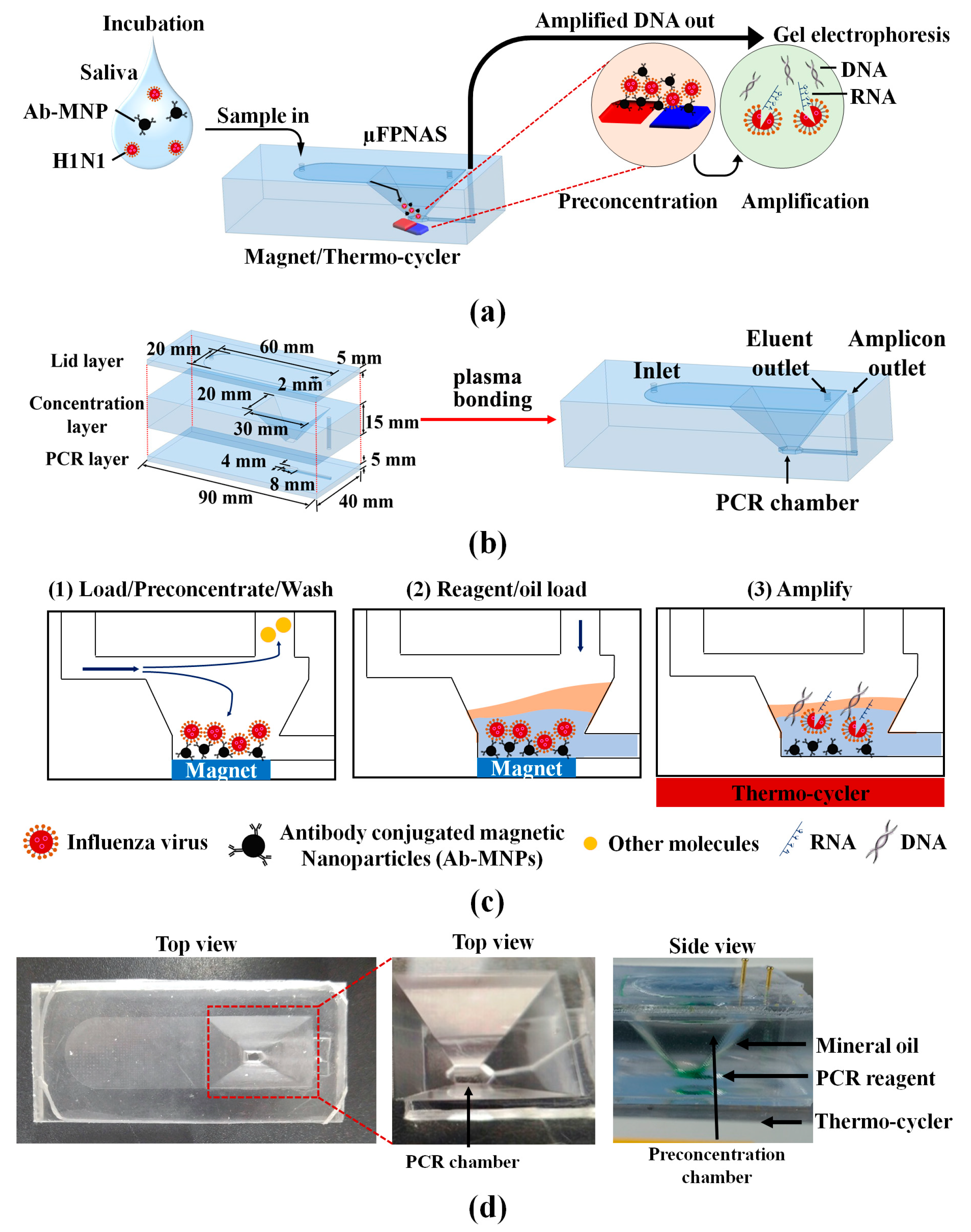 Micromachines 11 00203 g001